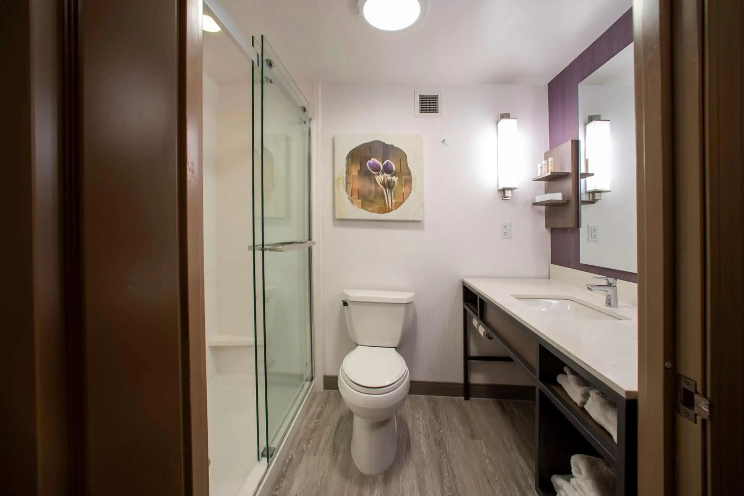 Bathroom in Hilton Garden Inn Rapid City