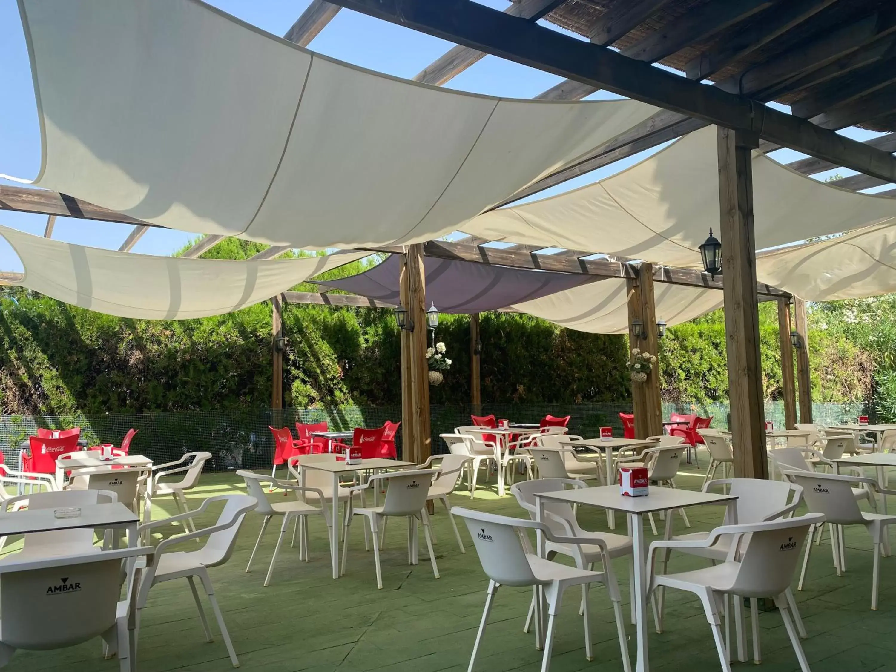 Patio, Restaurant/Places to Eat in Hotel Almagro