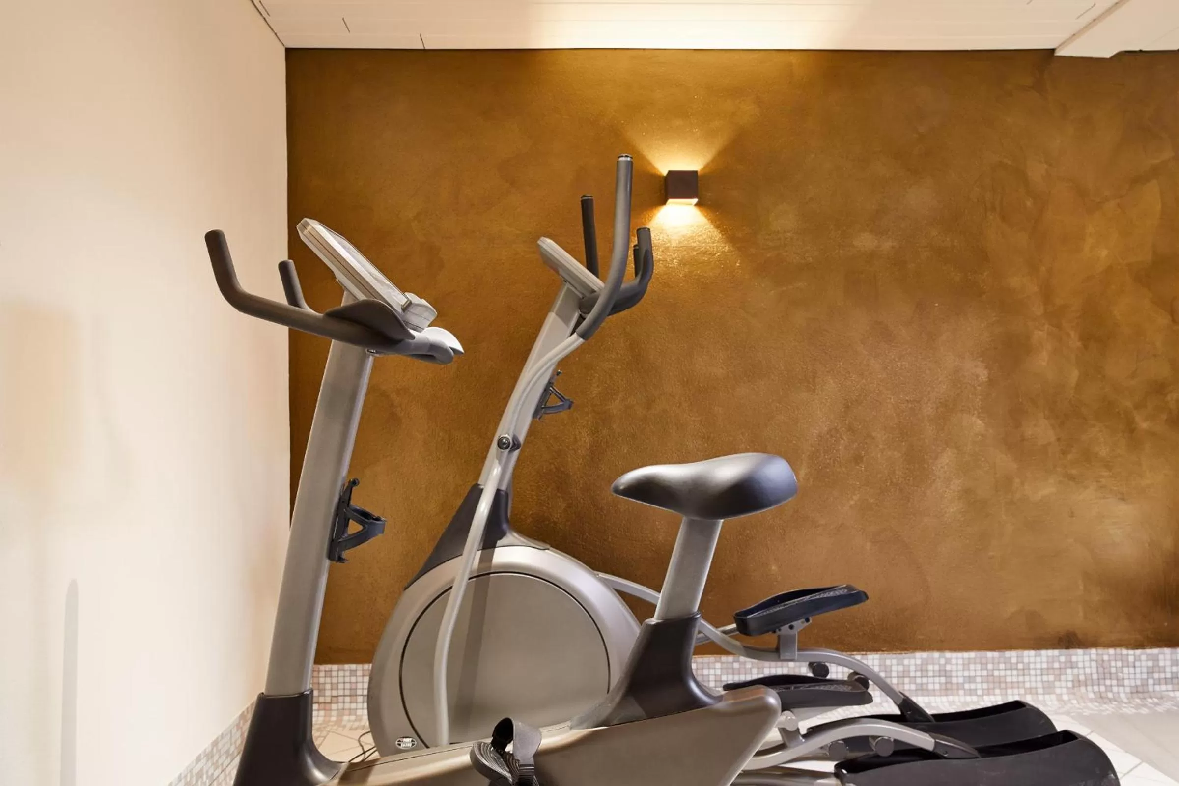 Fitness centre/facilities in Alpenrose Kufstein