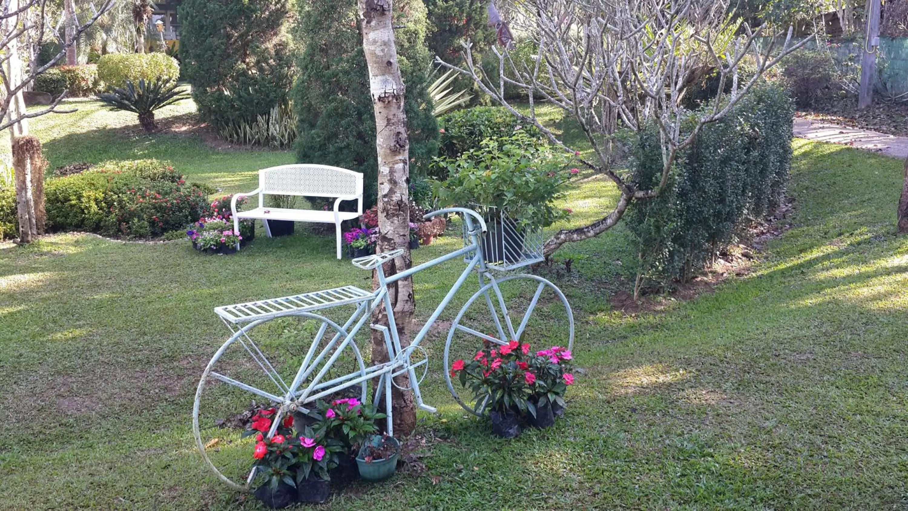 Garden in Baan JaoKorKluay บ้านเจ้ากอกล้วย