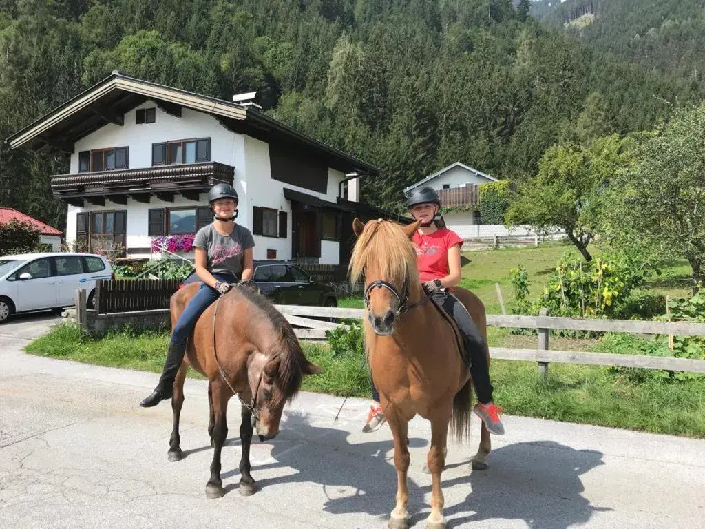 Horse-riding, Horseback Riding in Hettlerhof