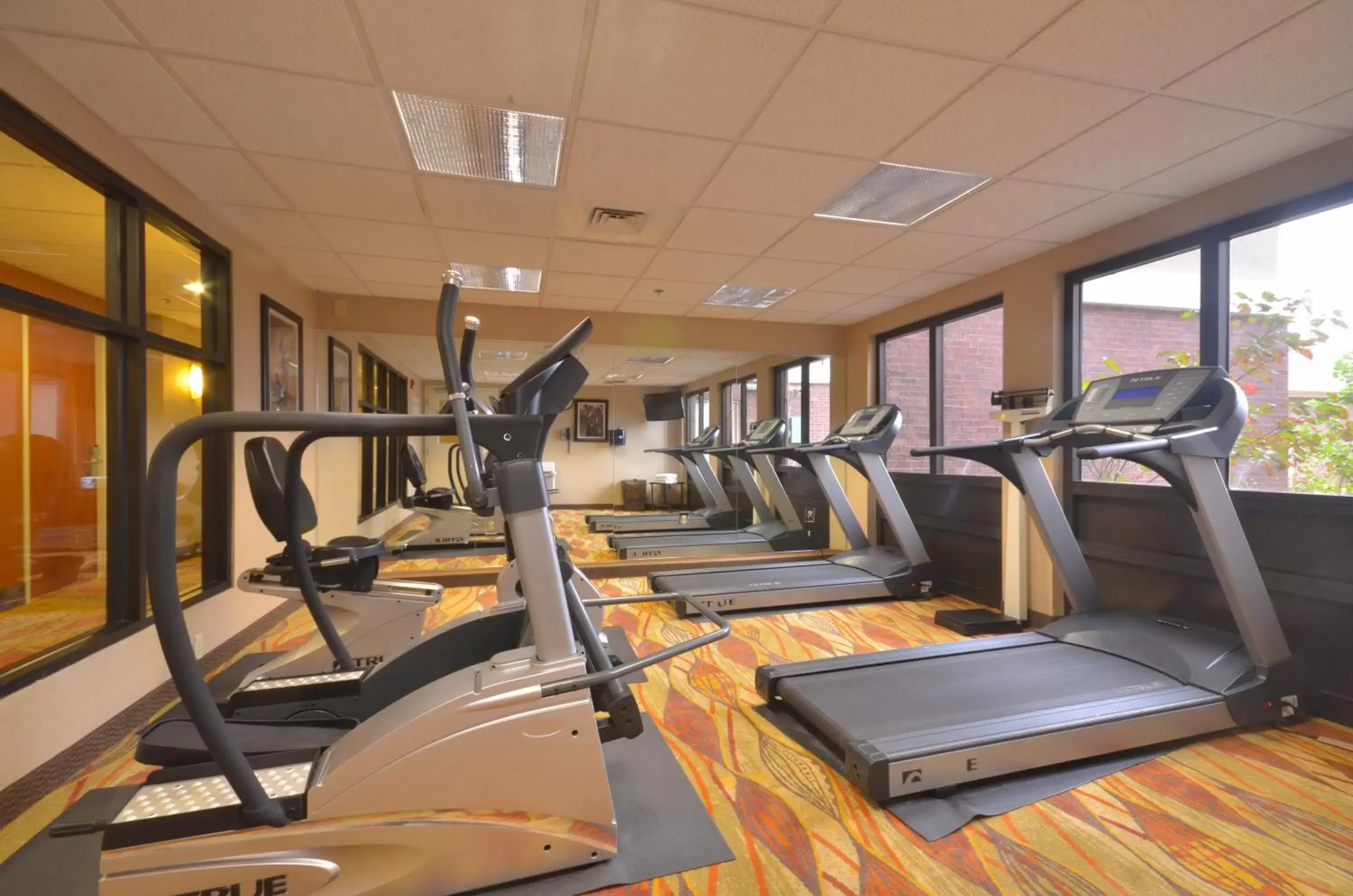 Spa and wellness centre/facilities, Fitness Center/Facilities in Holiday Inn Express & Suites Pine Bluff/Pines Mall, an IHG Hotel