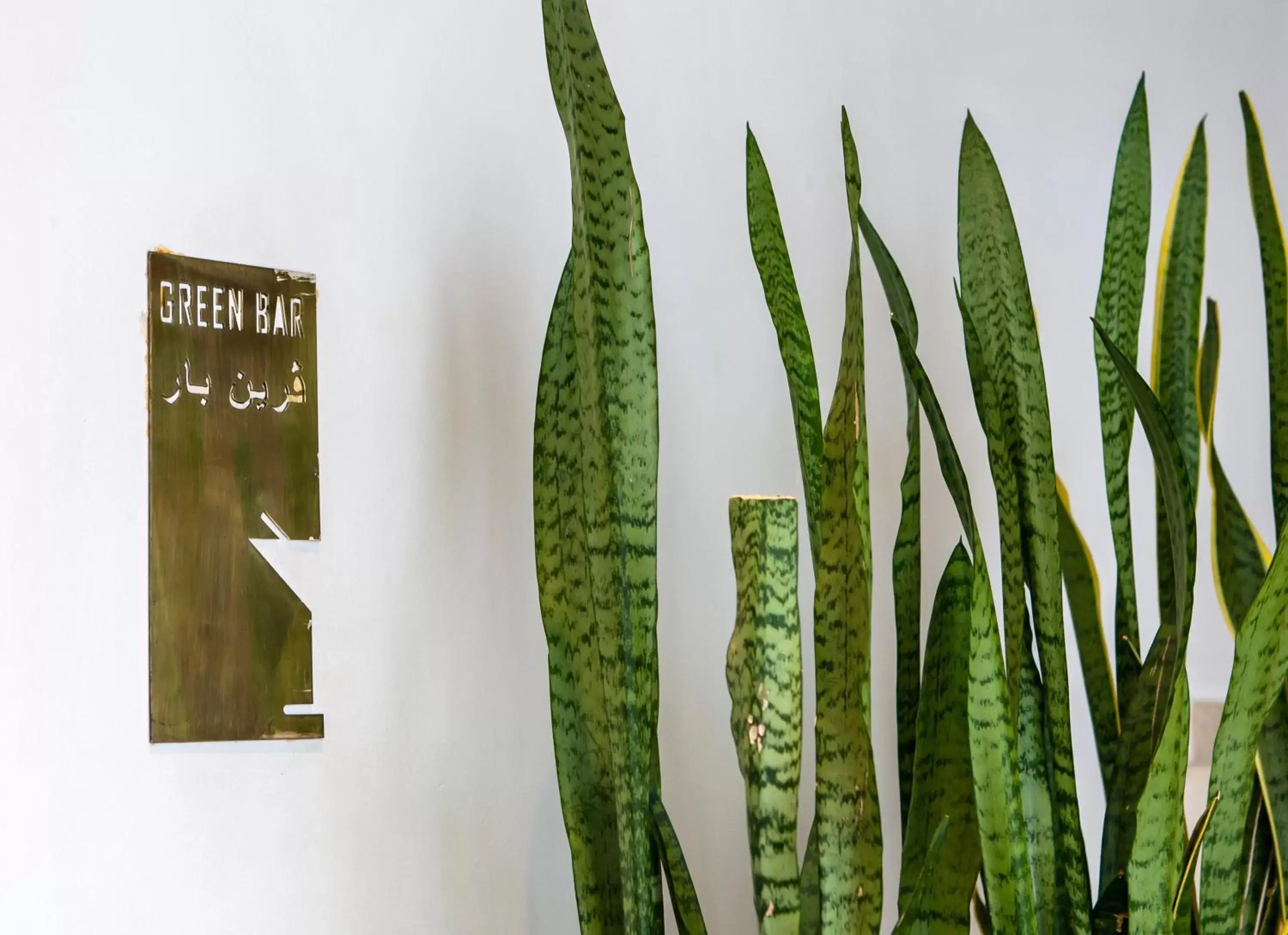 Lounge or bar in Golf Royal Hotel Lounge or bar in Golf Royal Hotel