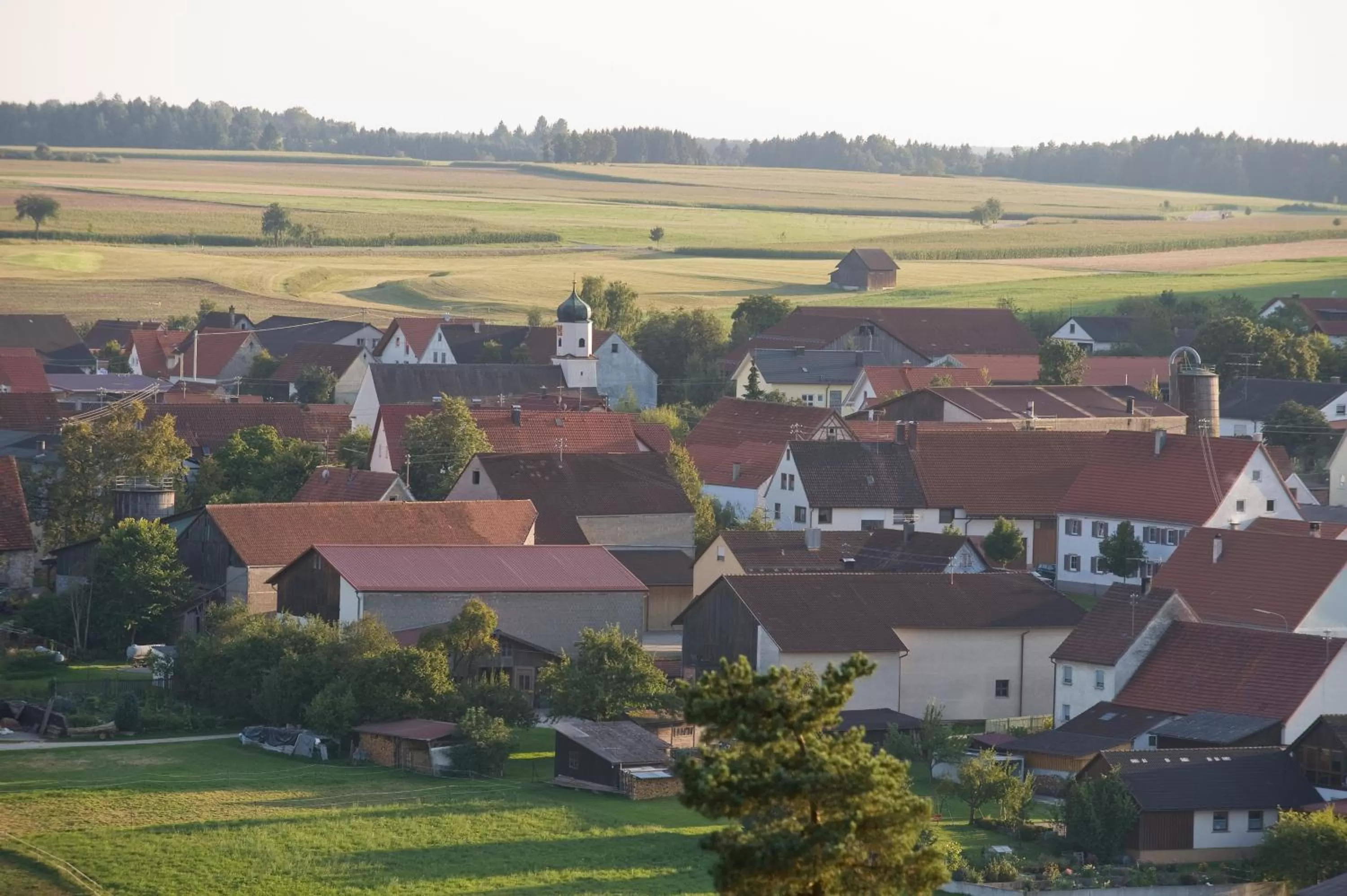Natural landscape in Biohotel-Restaurant Rose