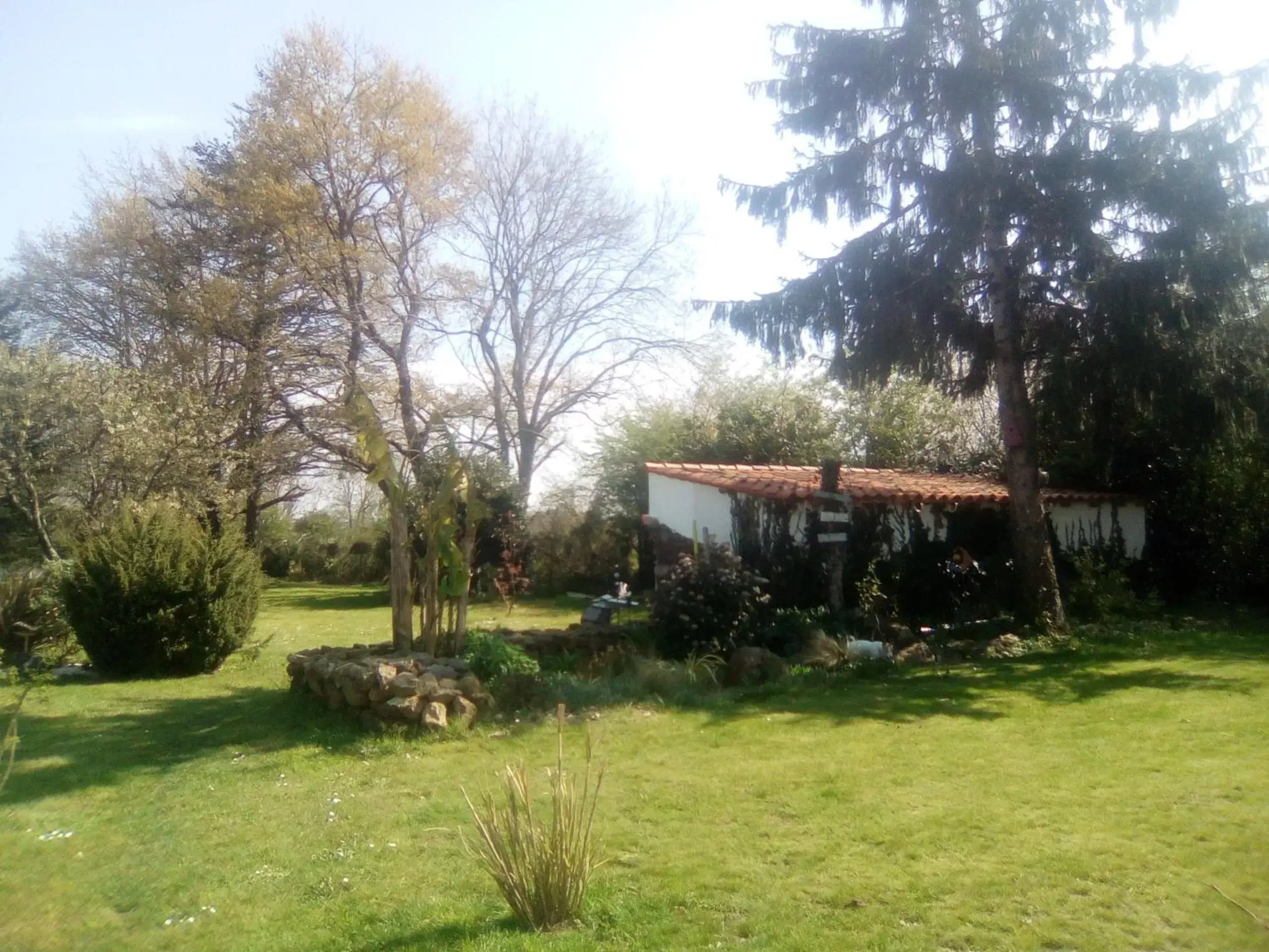 Garden, Property Building in Mas des Vignes Piscine chauffée