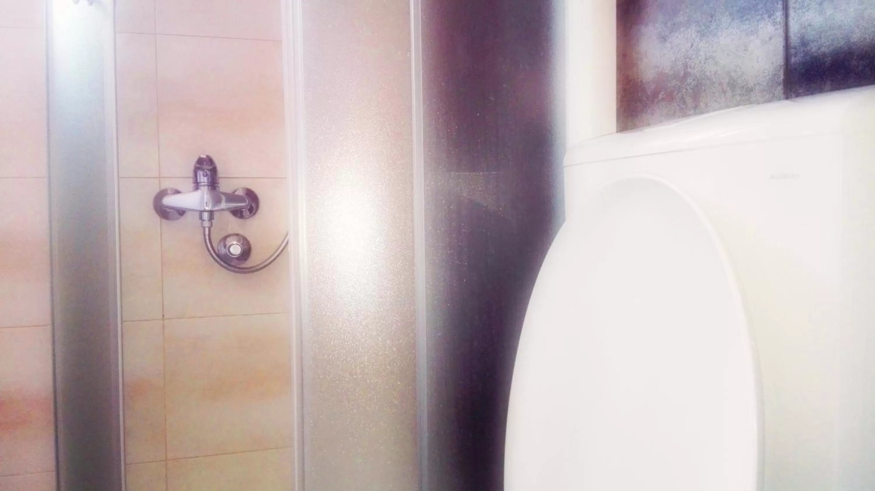 Shower, Bathroom in Pansion Eden