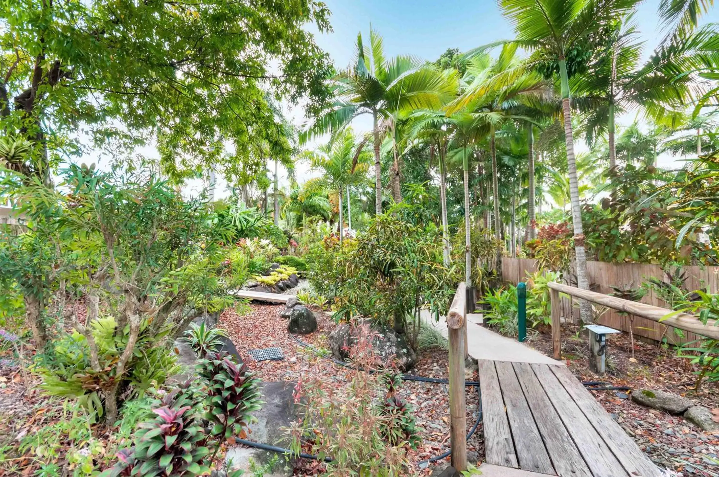 Garden in The Villas Palm Cove
