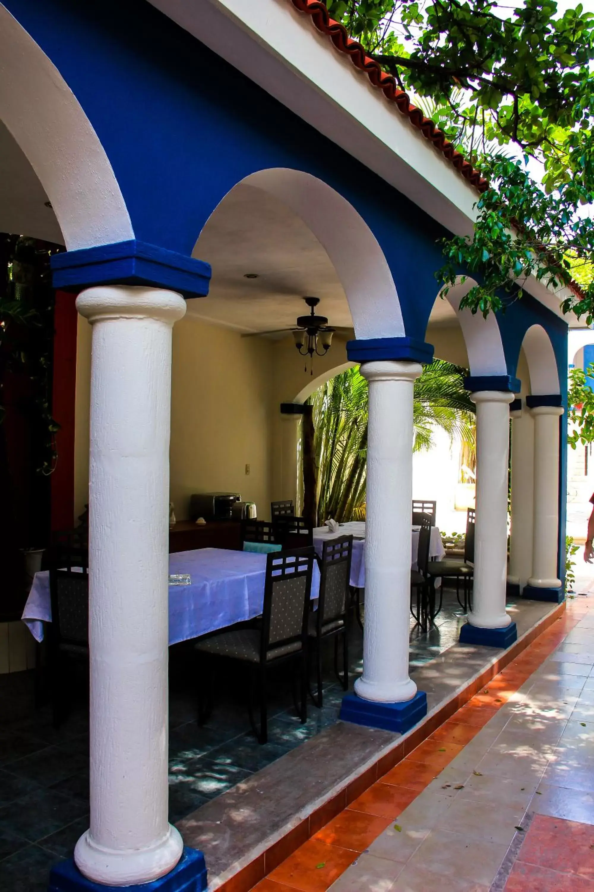 Patio in Hotel Zamna Boutique