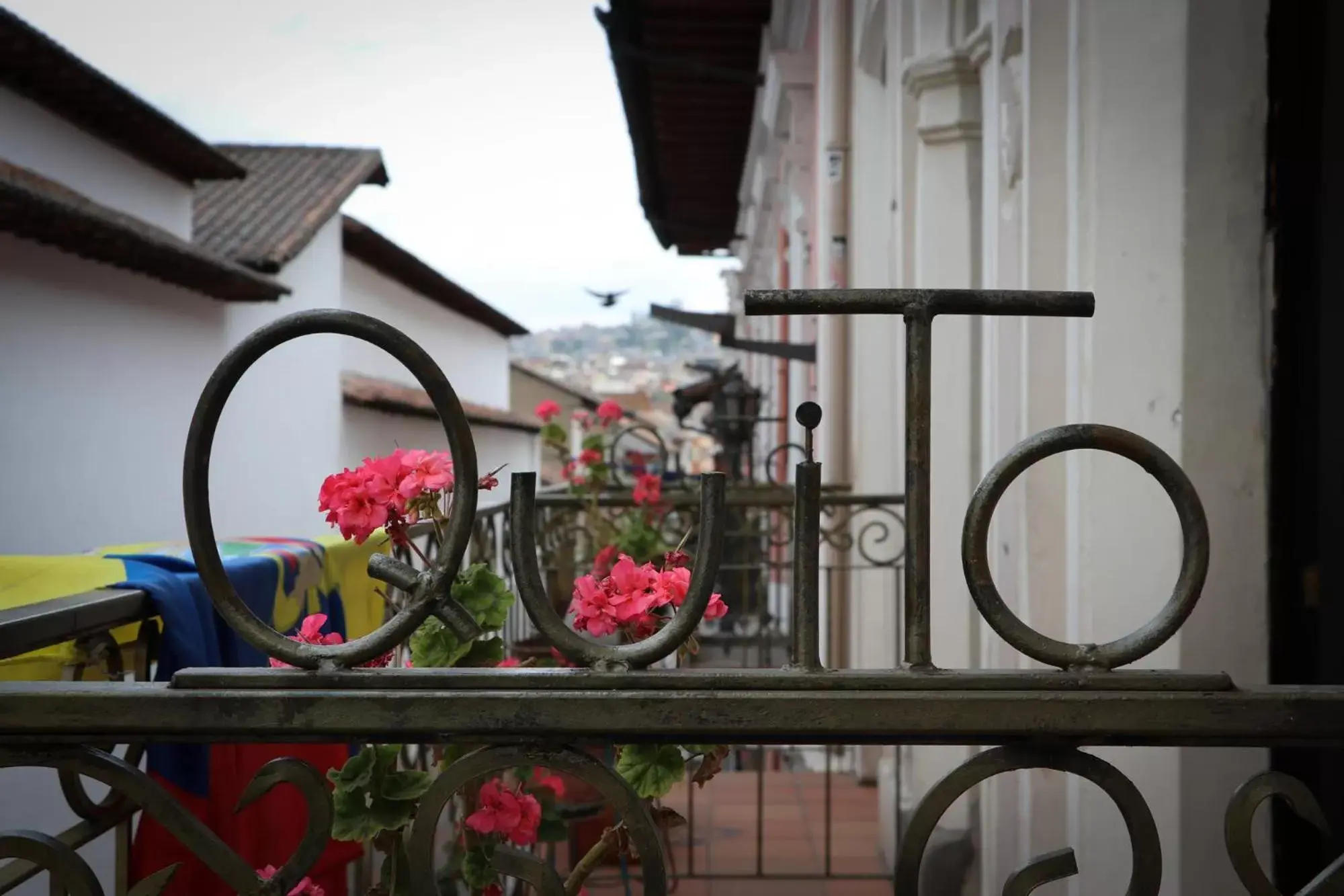 View (from property/room), Balcony/Terrace in Friends Hotel & Rooftop