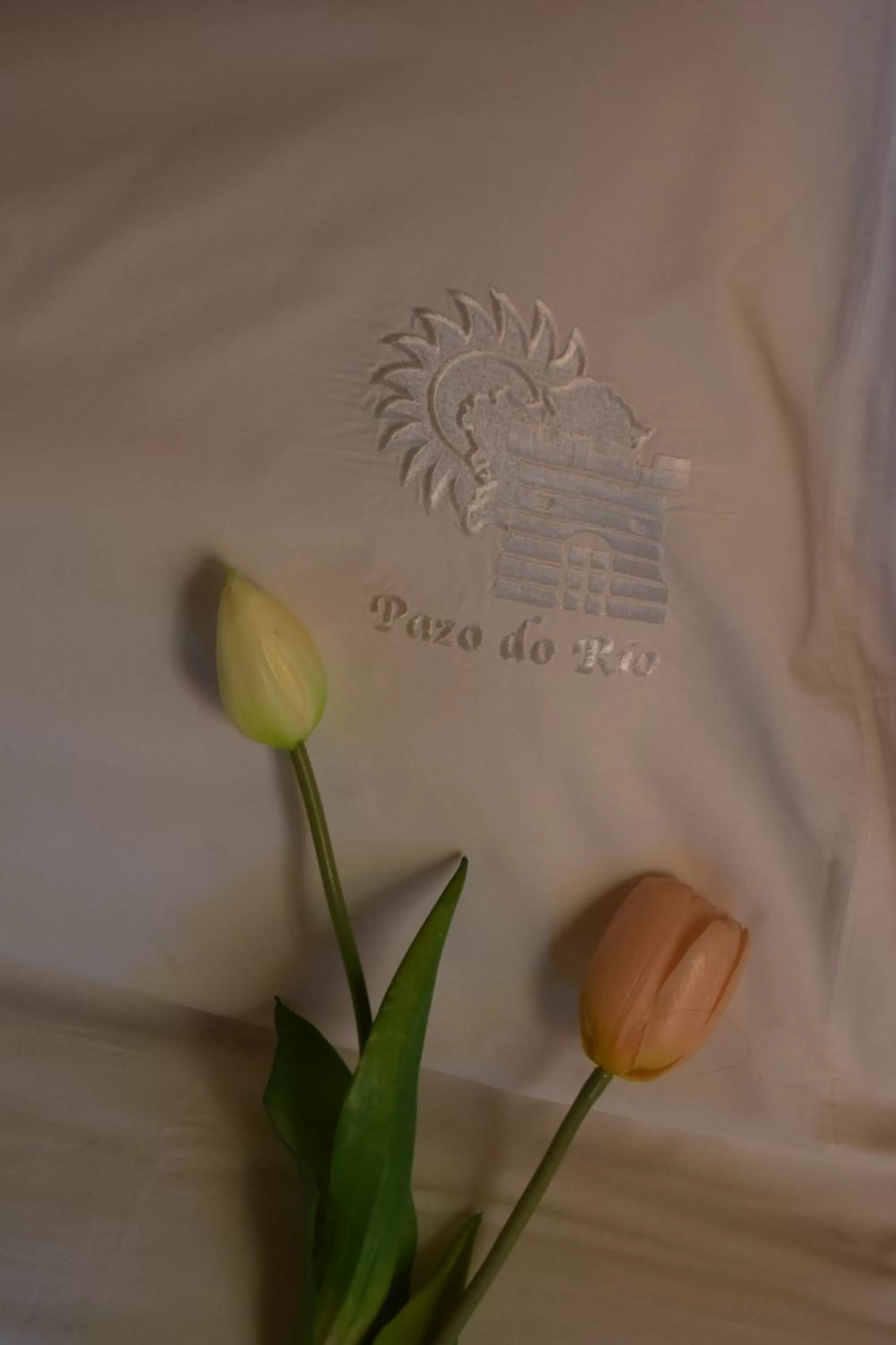 Decorative detail in Pazo do Rio