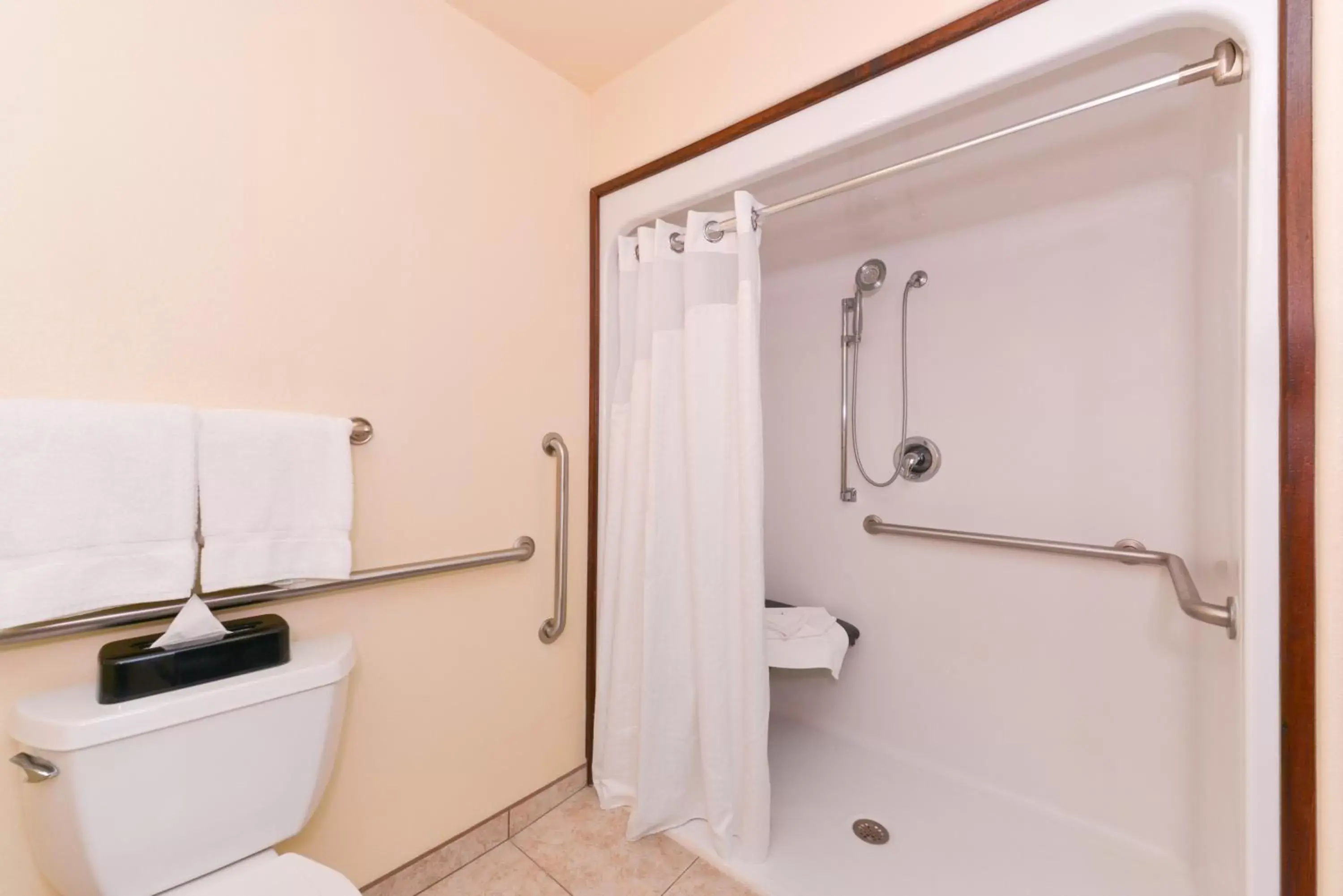 Bedroom, Bathroom in Holiday Inn Express Hotel & Suites Alamosa, an IHG Hotel