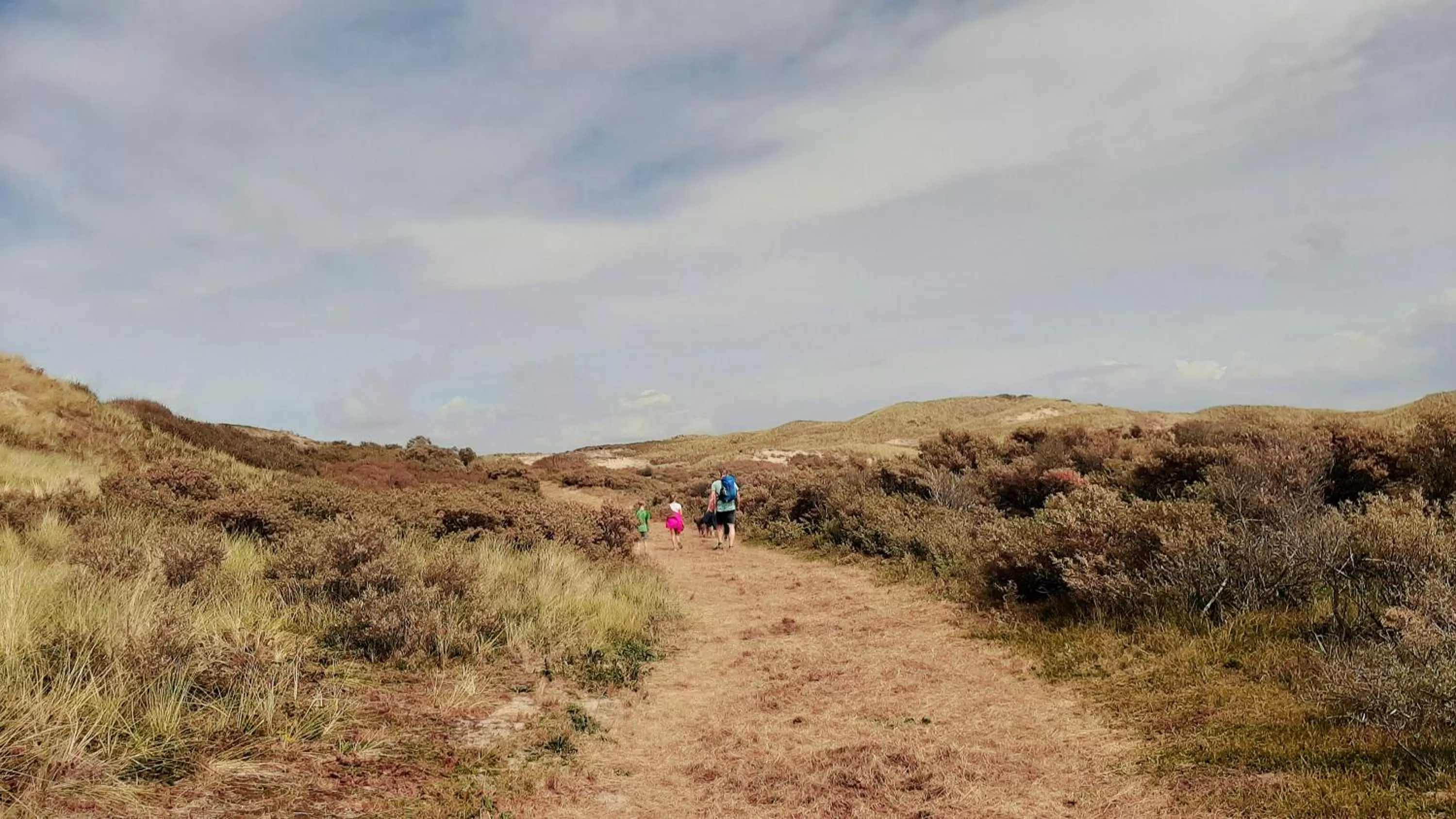 Natural landscape in Strandhotel Zoomers