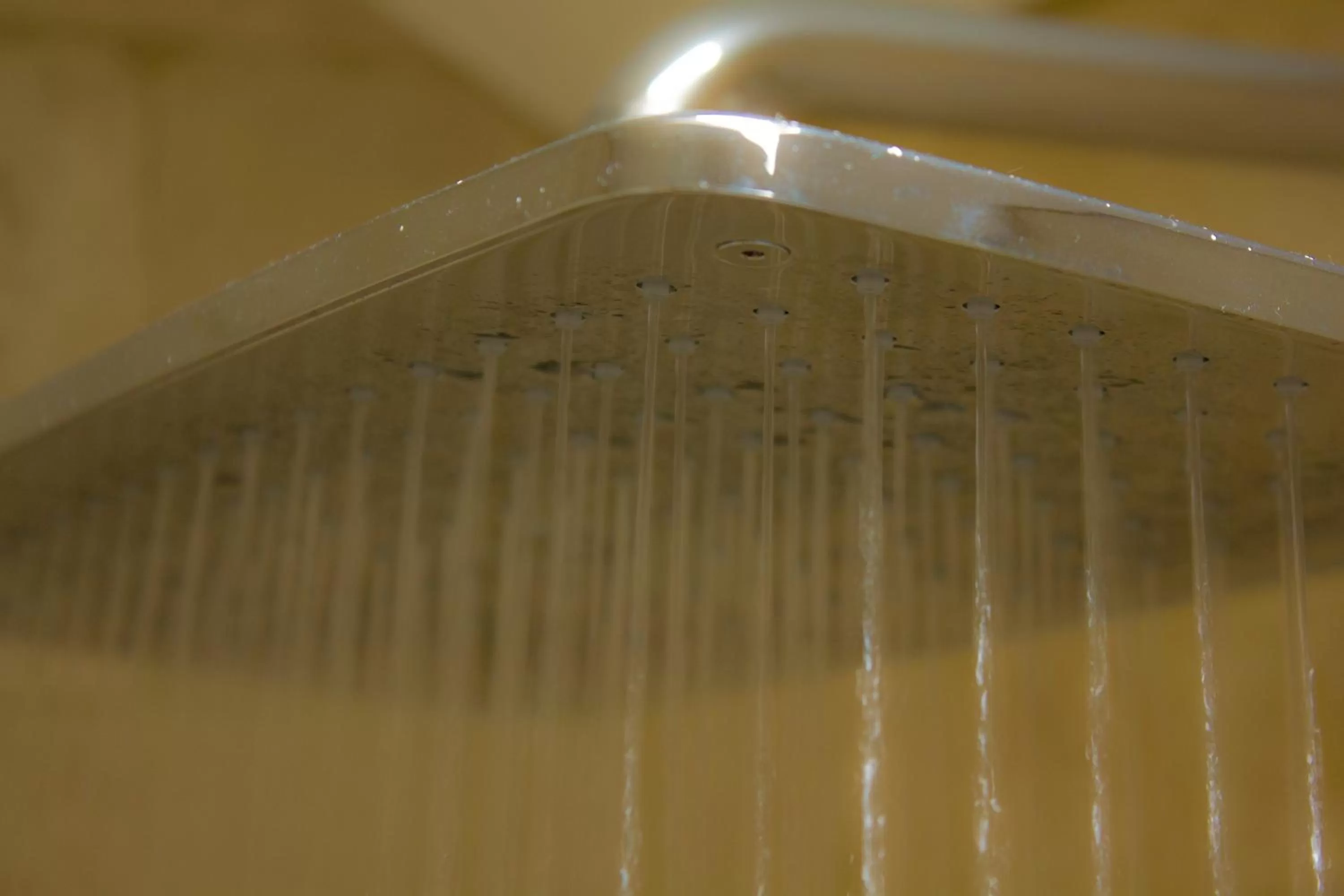 Bathroom in Robin Hood Farm B&B
