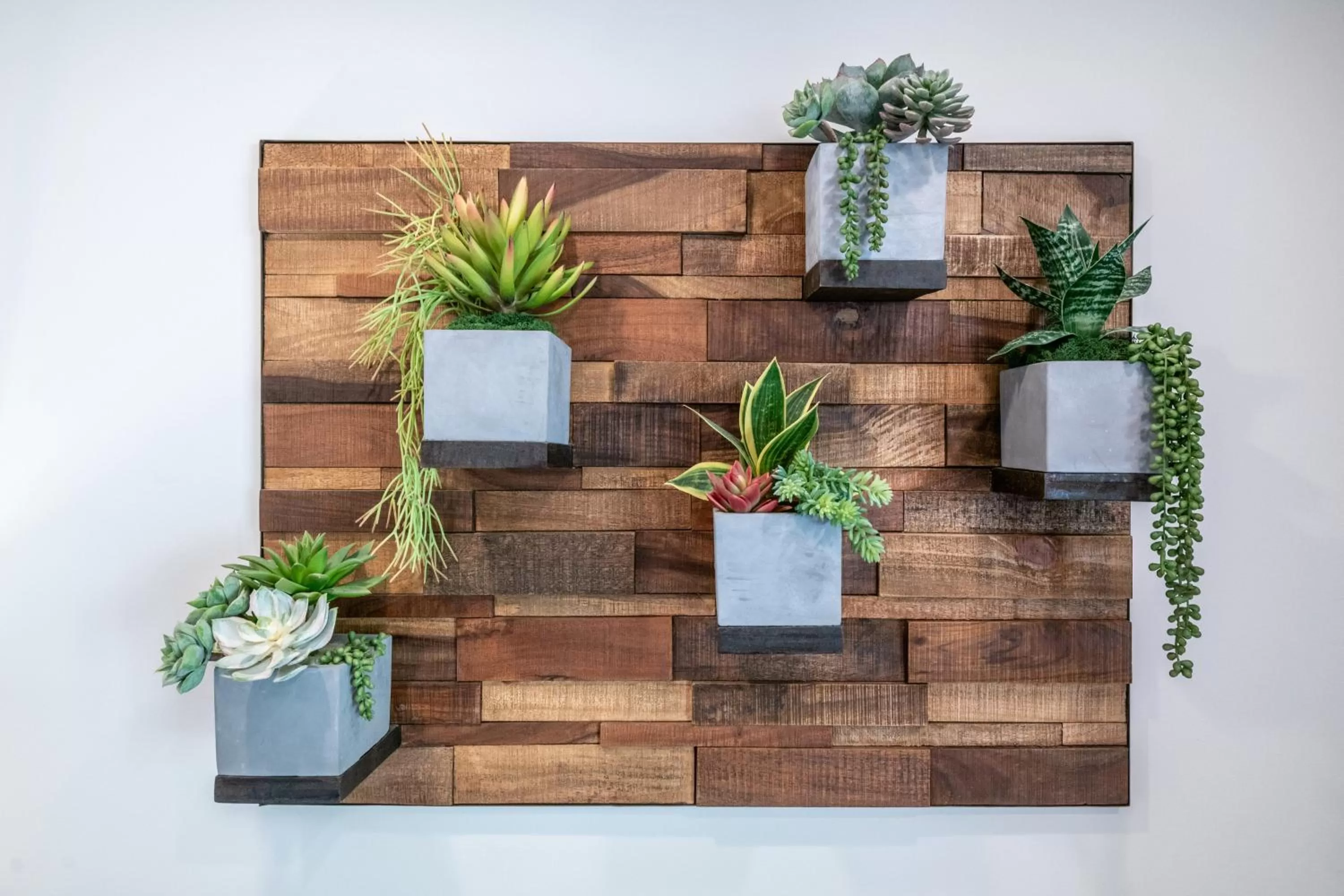 Treasure Mountain Inn