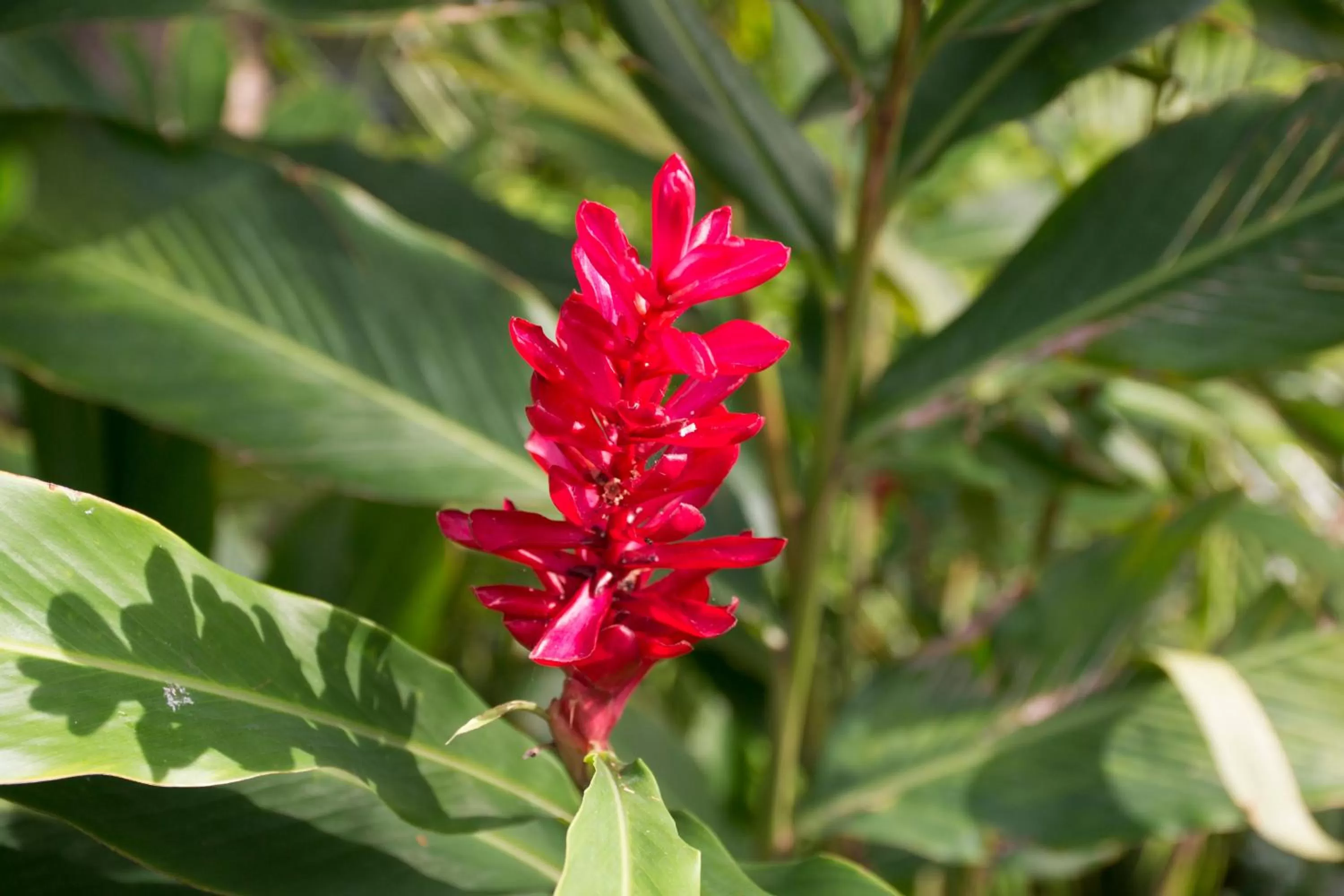 Natural landscape in Duval House