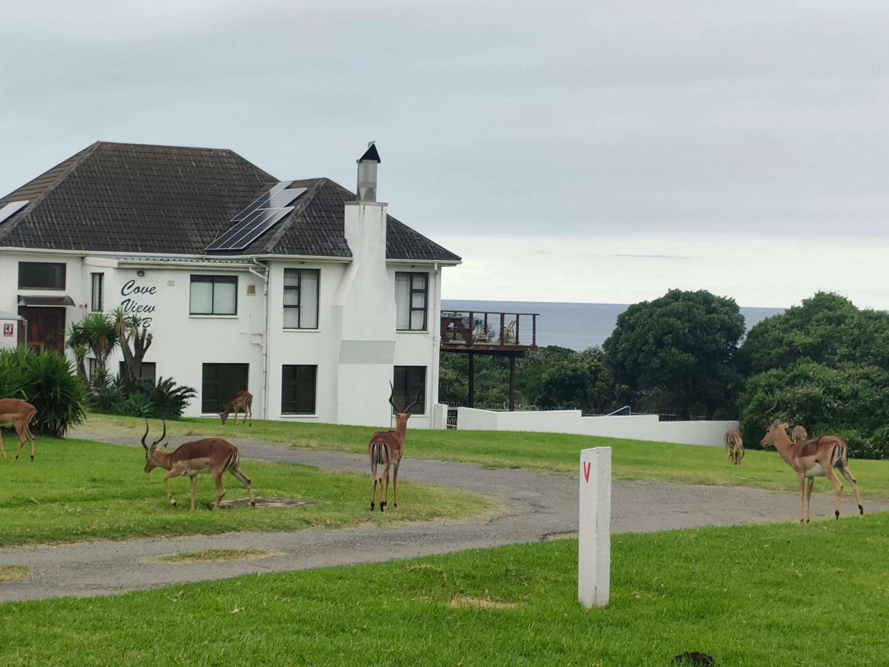 Property building in Cove View B&B