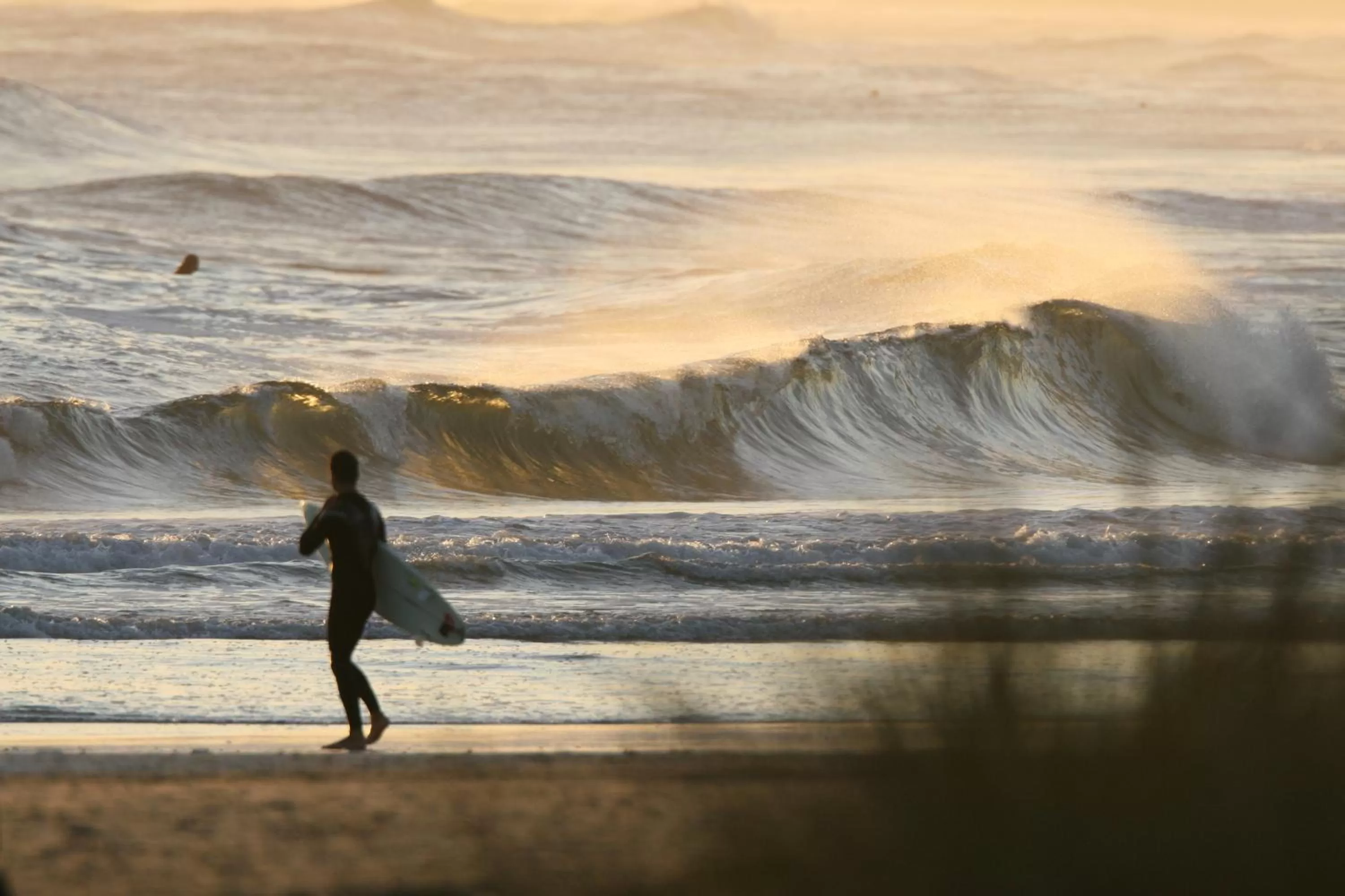 Natural landscape in Zen Boutique Apart Hotel