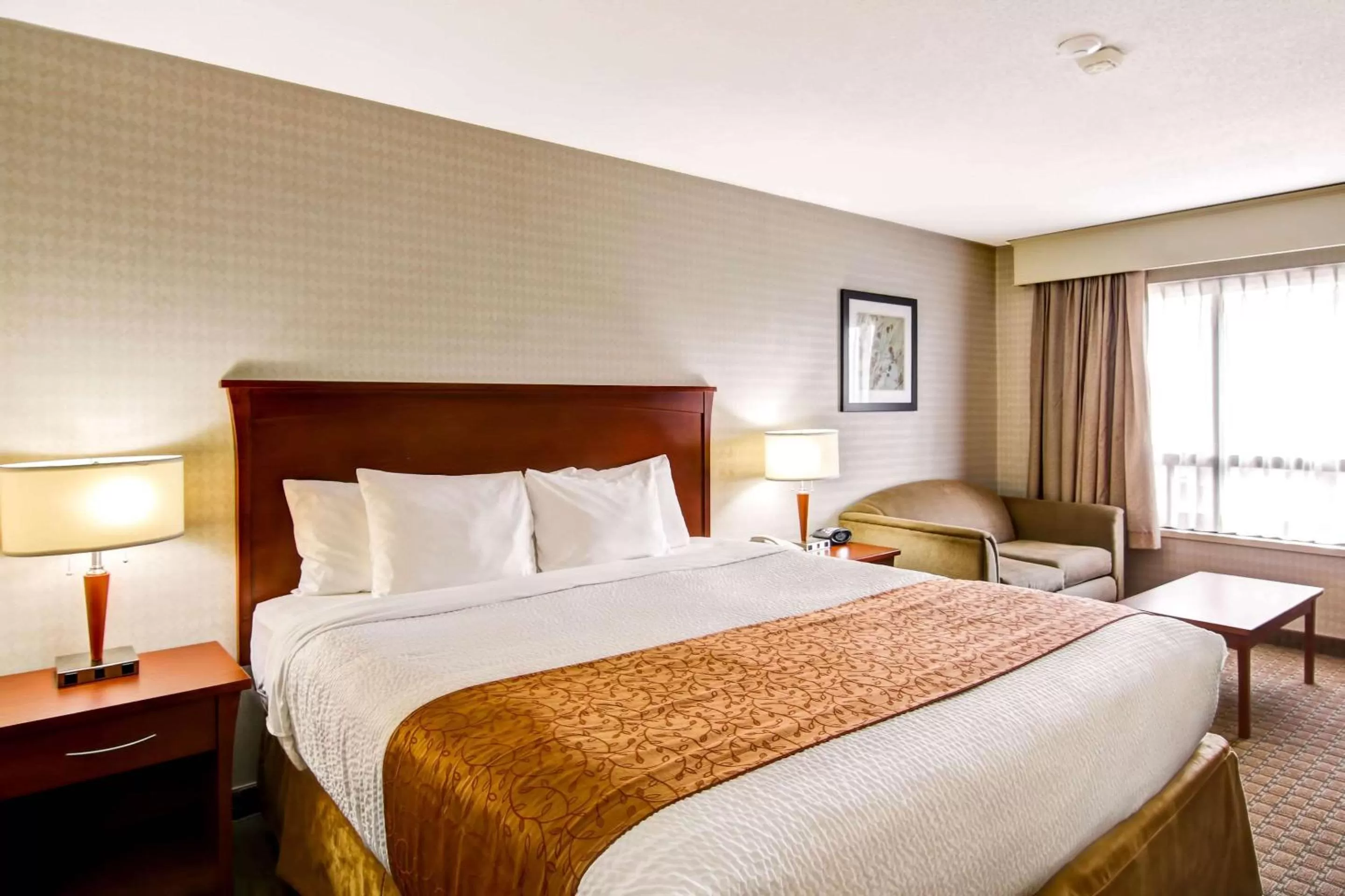 Photo of the whole room, Bed in Quality Inn