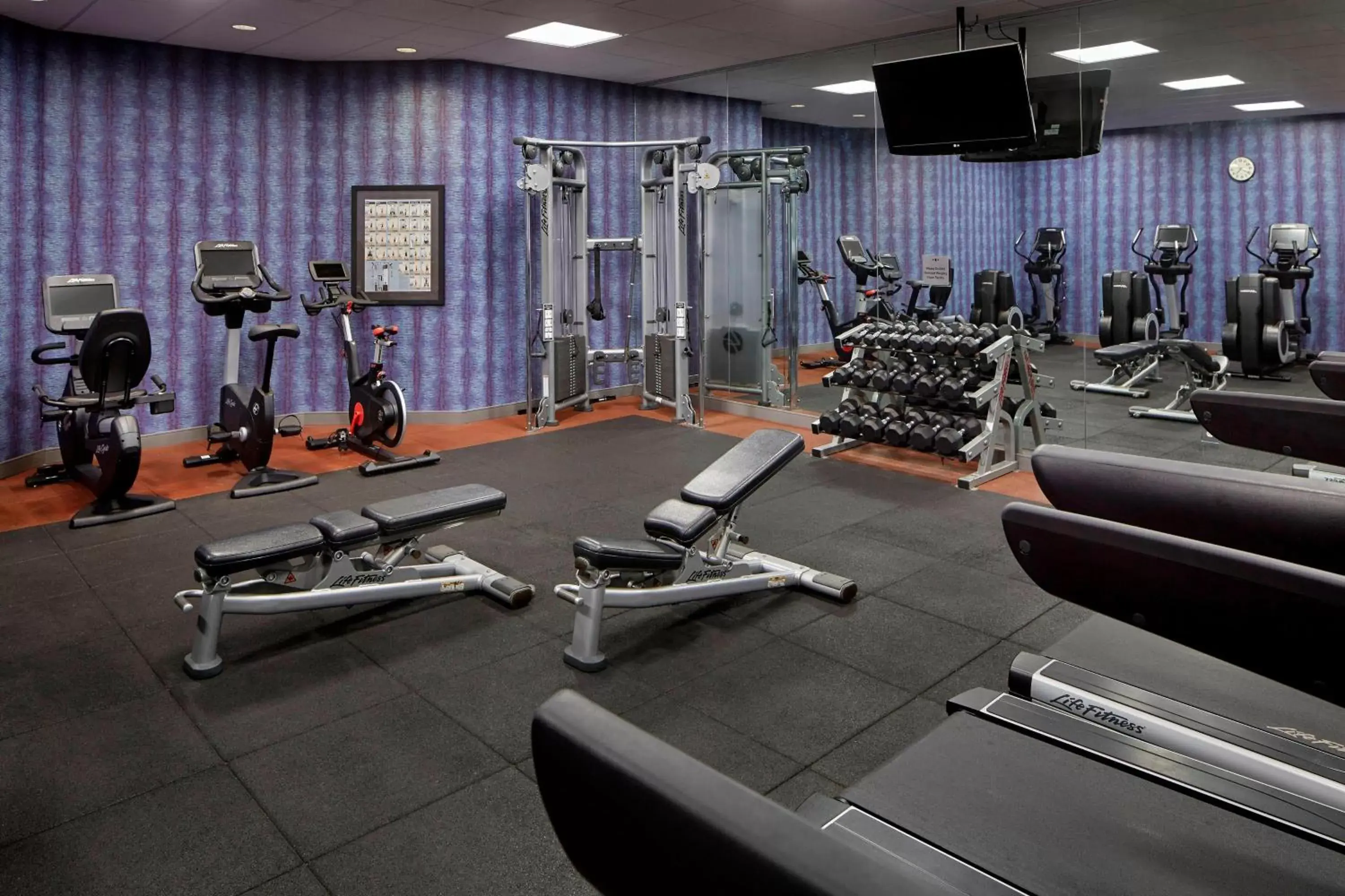 Fitness centre/facilities, Fitness Center/Facilities in Marriott Hartford/Windsor Airport