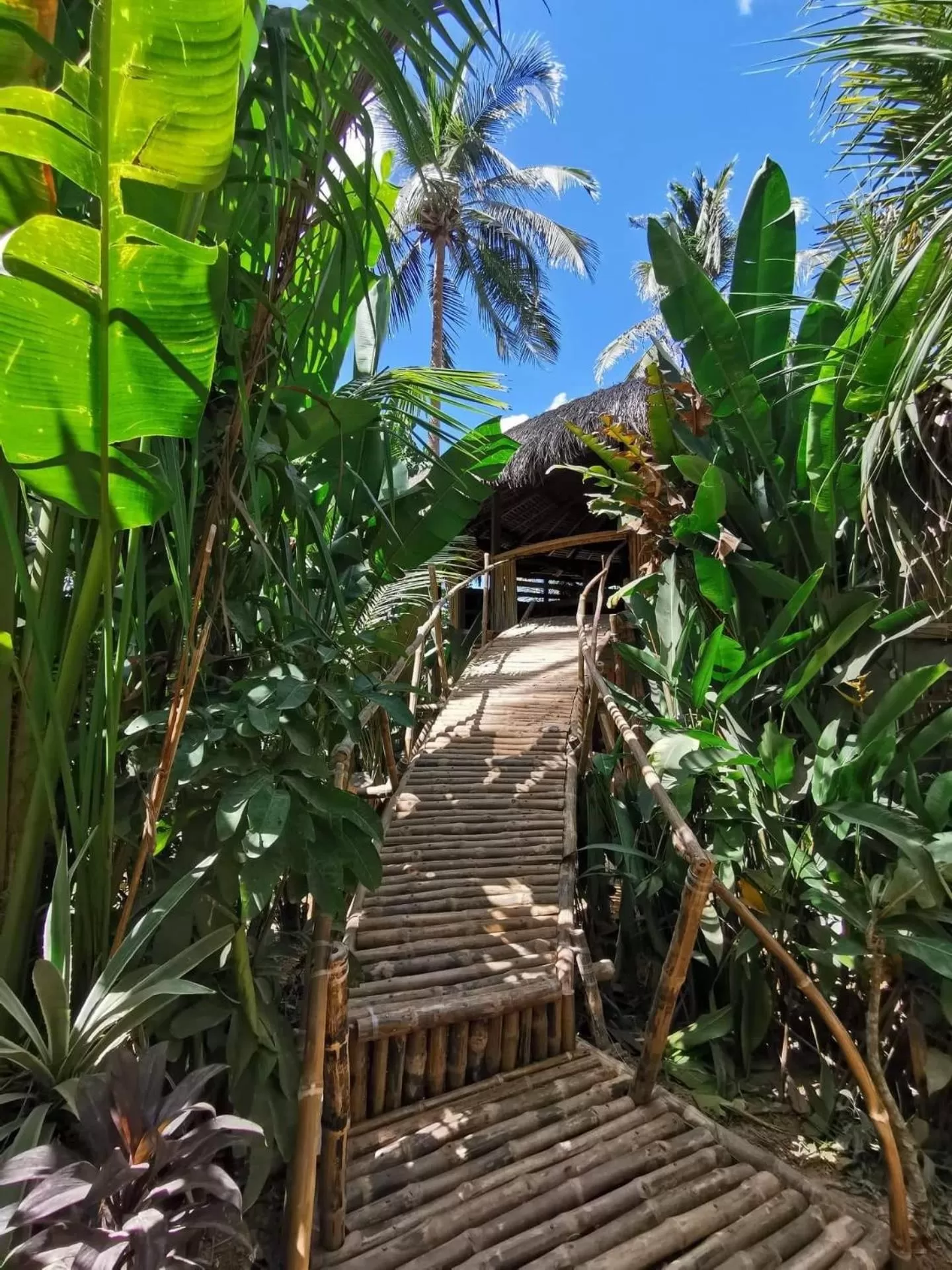 Property building in Terra Sancta Resort