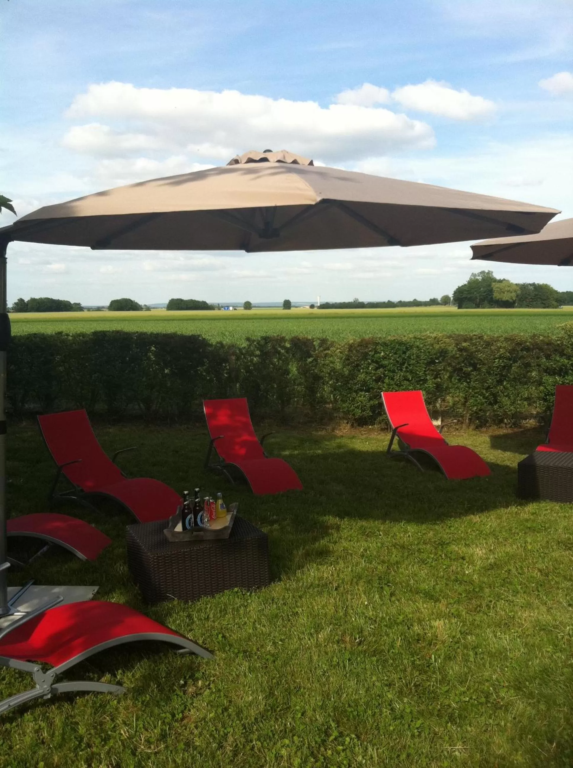 Garden in Logis Hôtel Les Nymphéas