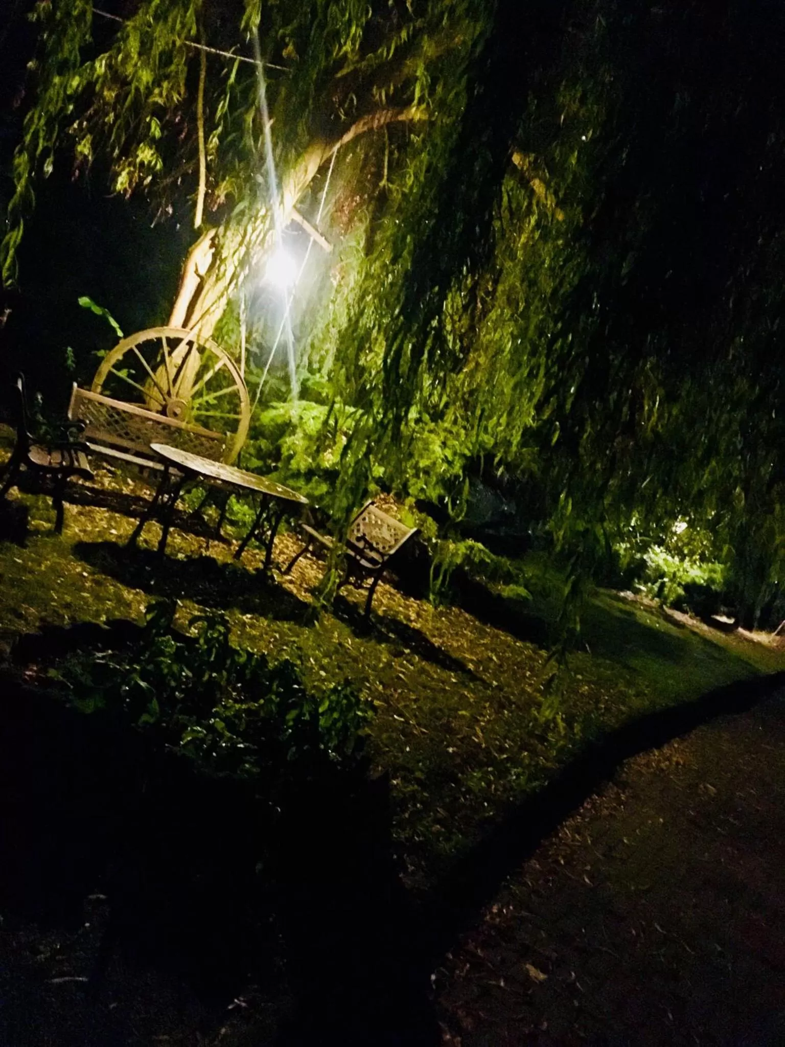 Rossella alla Villarella dei Tulipani