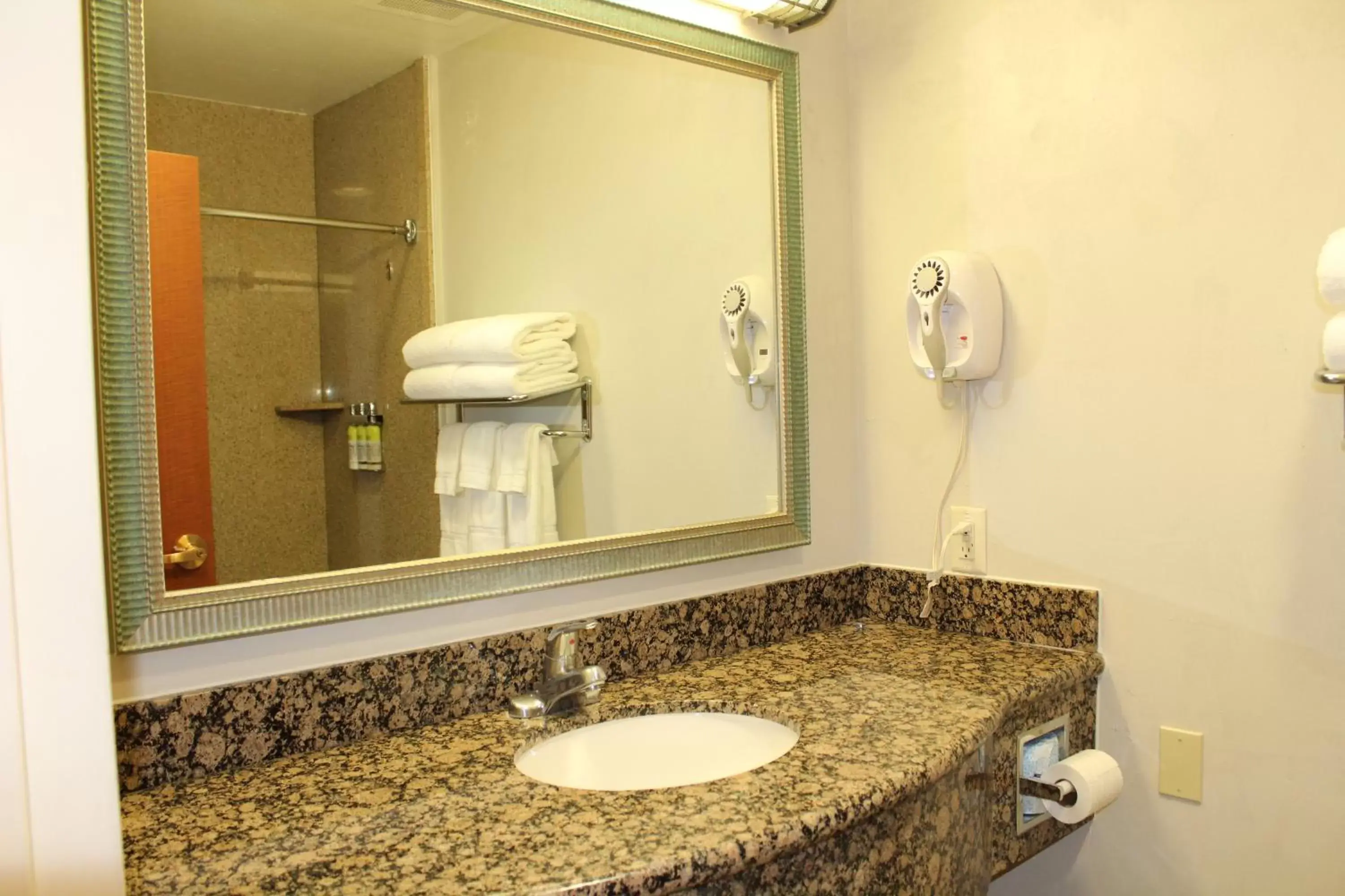 Bathroom in Holiday Inn Express Hotel & Suites Tucson Mall, an IHG Hotel