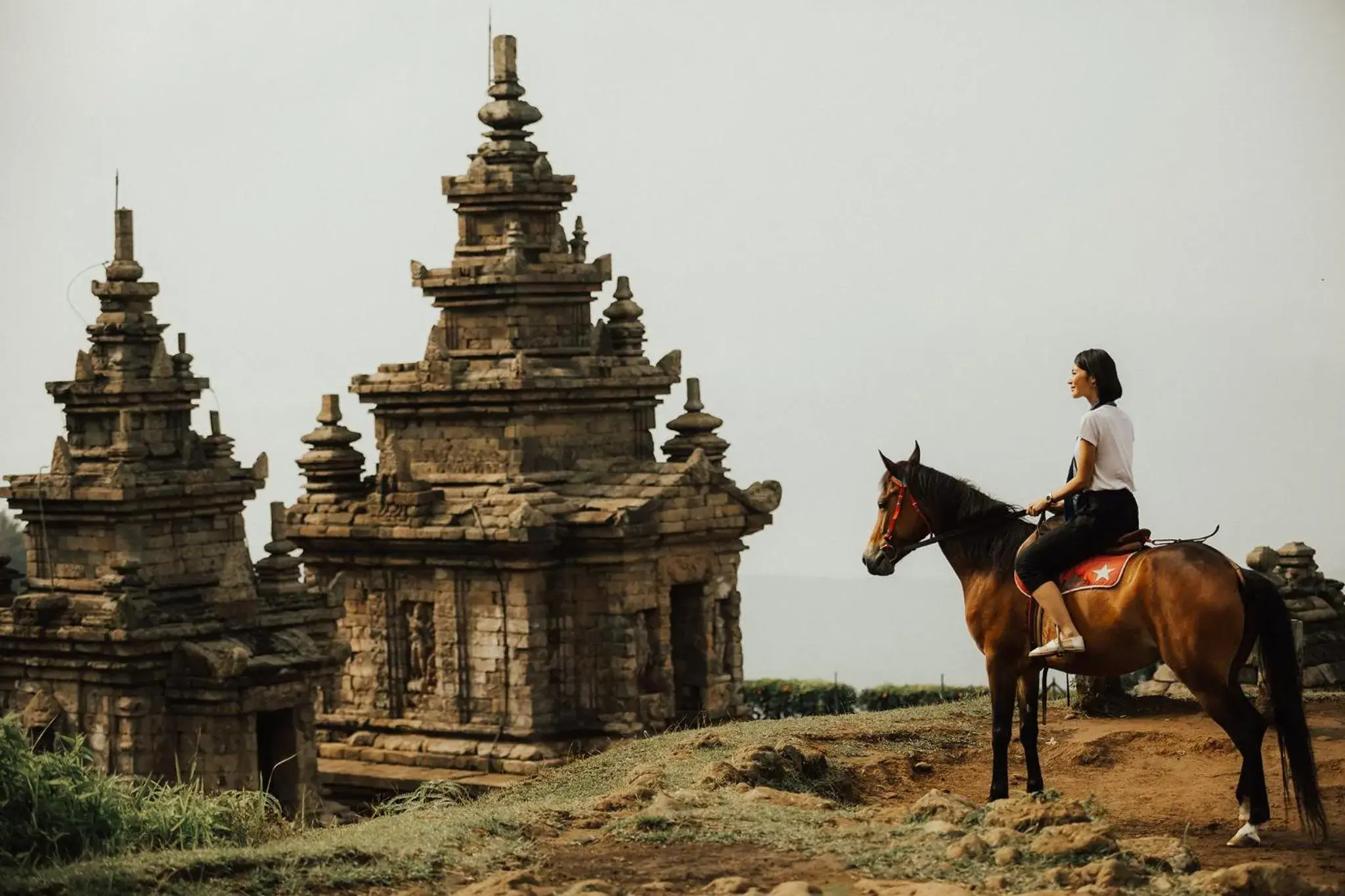 Nearby landmark, Horseback Riding in Hotel Santika Premiere Semarang