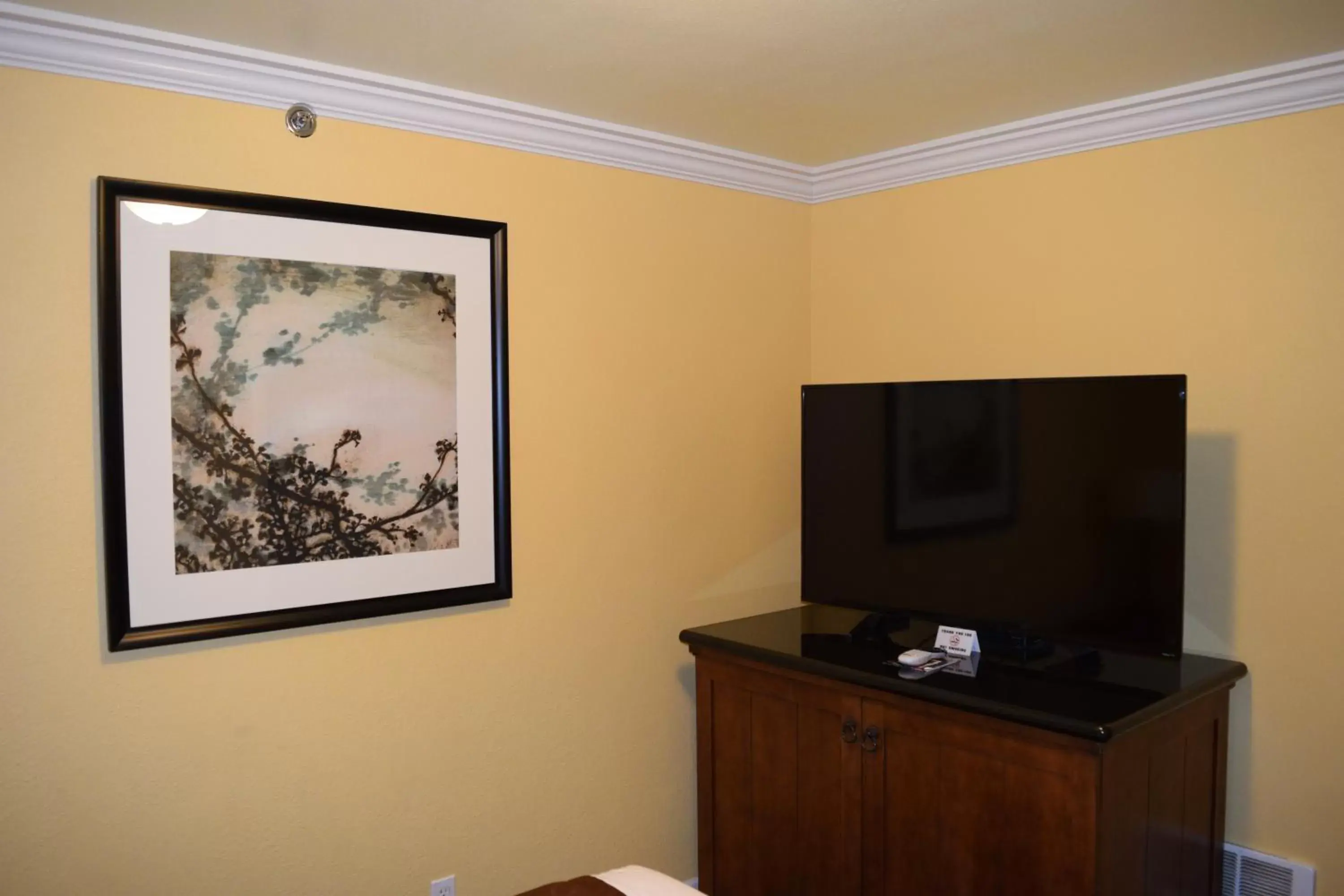 TV and multimedia, TV/Entertainment Center in Royal Victorian Motel