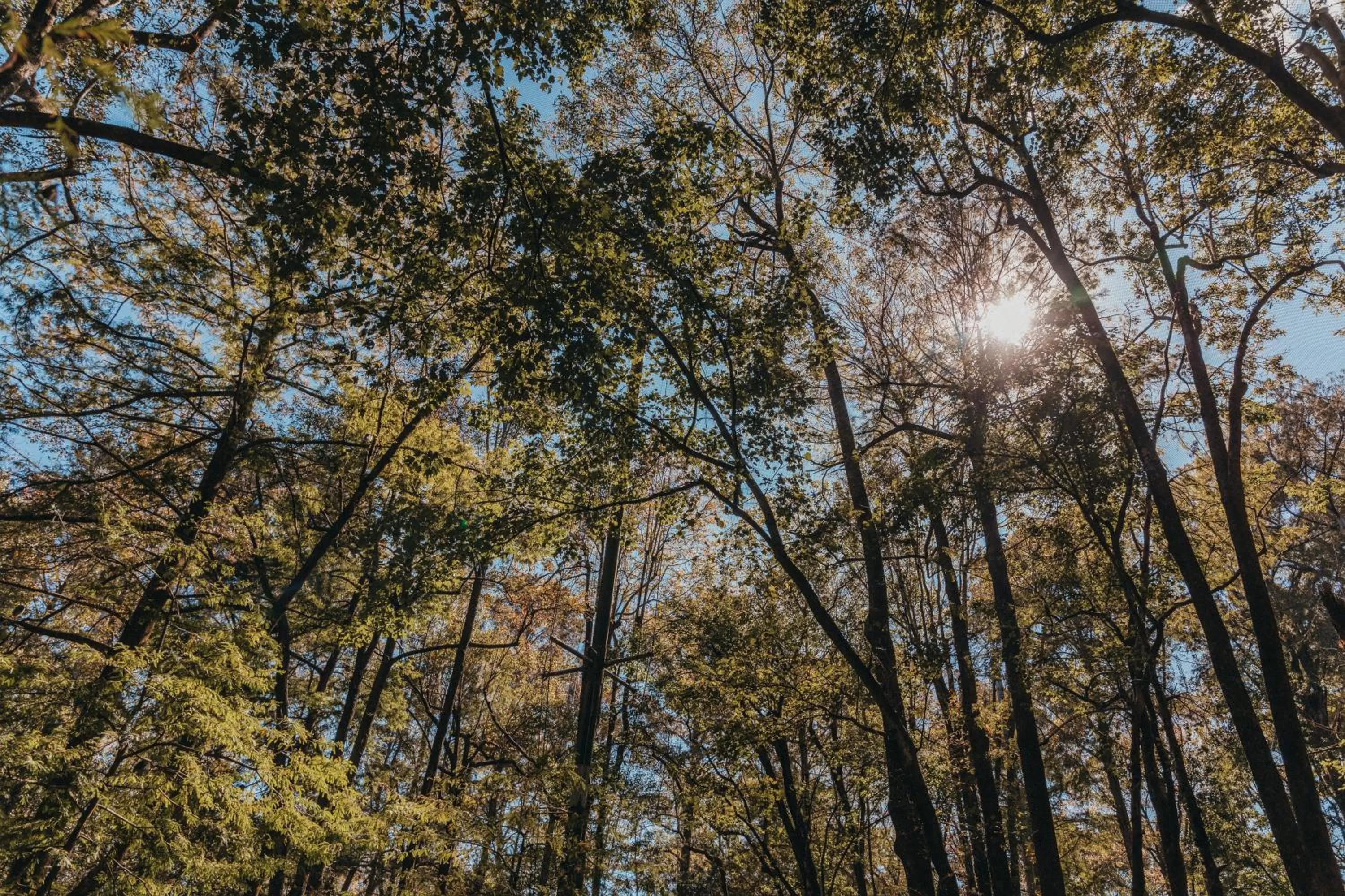 Nearby landmark, Natural Landscape in Sandcastle Oceanfront Resort South Beach