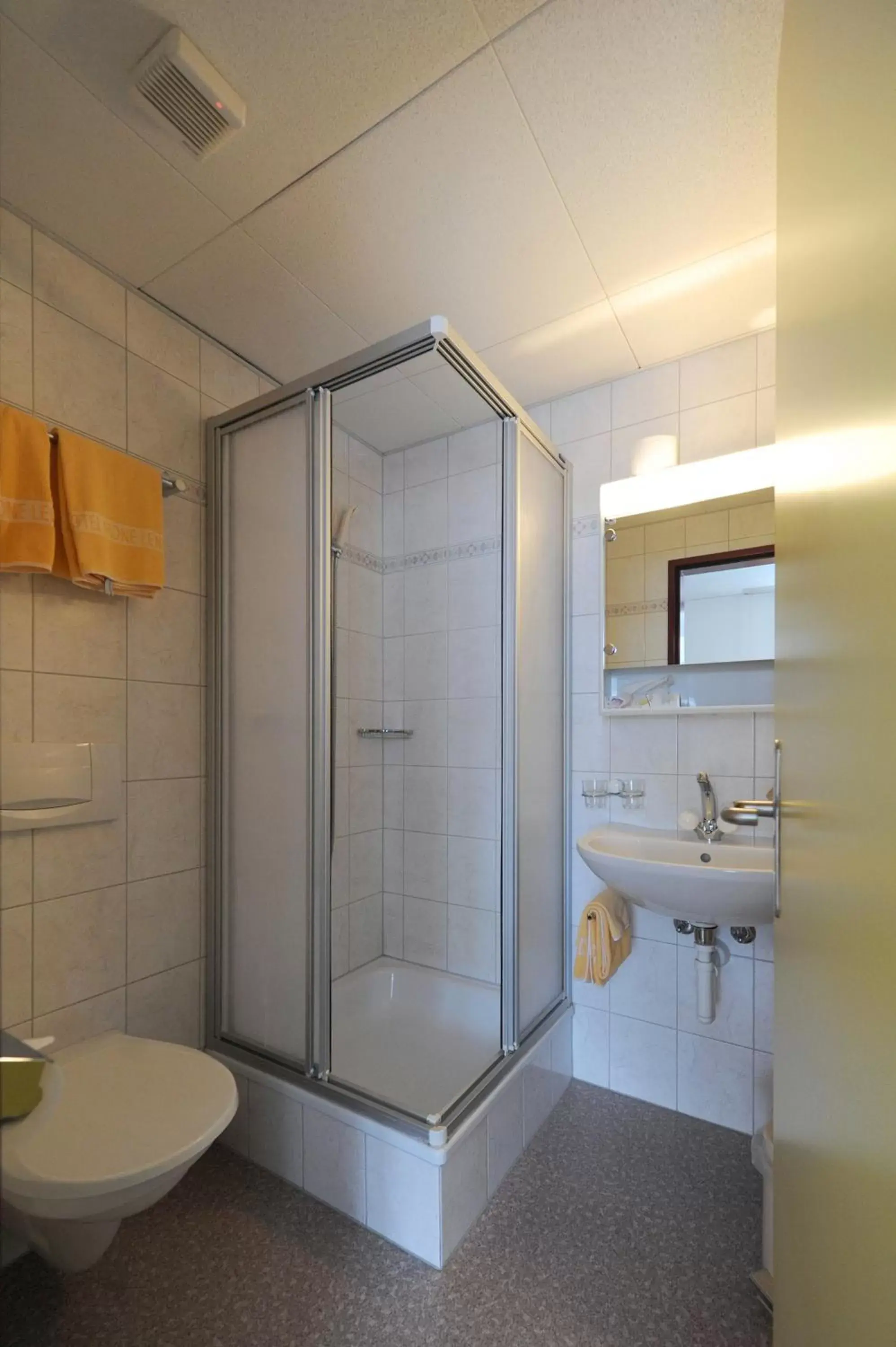 Shower, Bathroom in Hotel Krone Budget