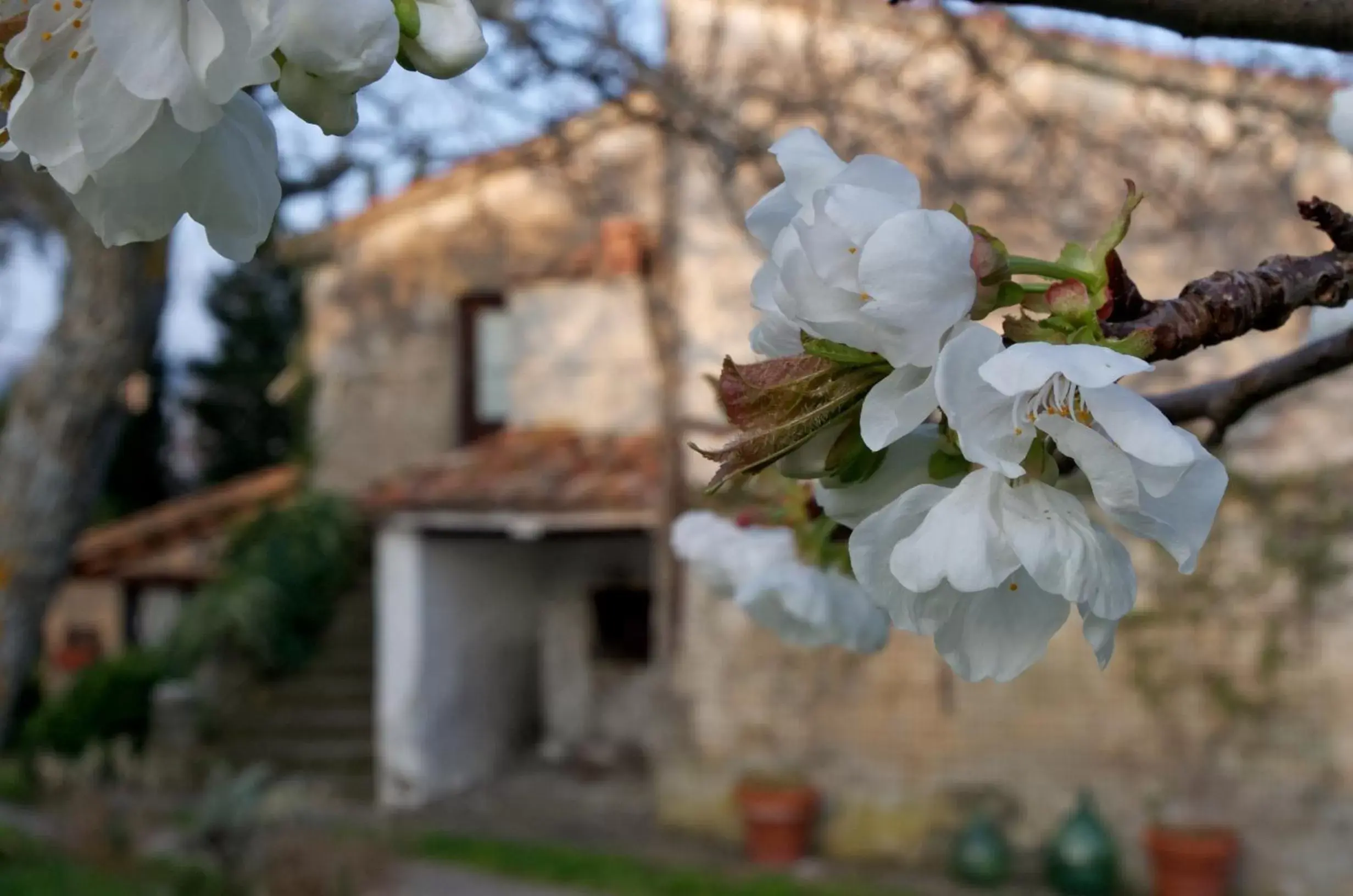 Facade/entrance in Podere Pinzicalari