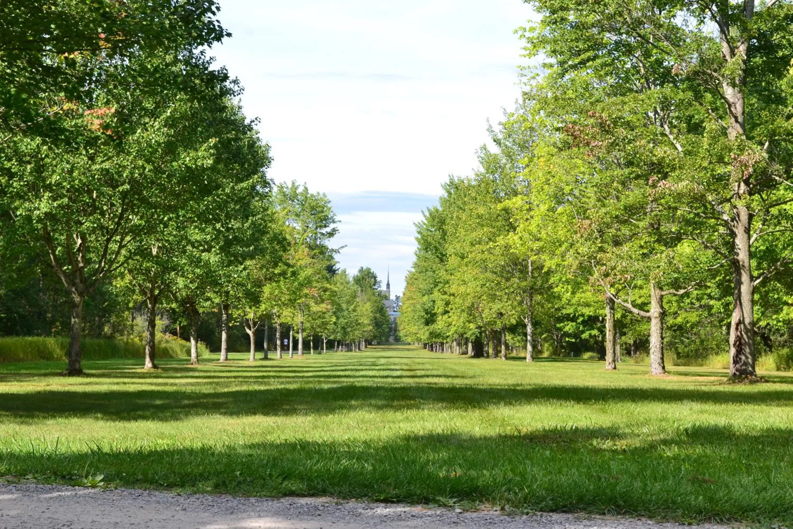 Golfcourse in Best Western University Inn