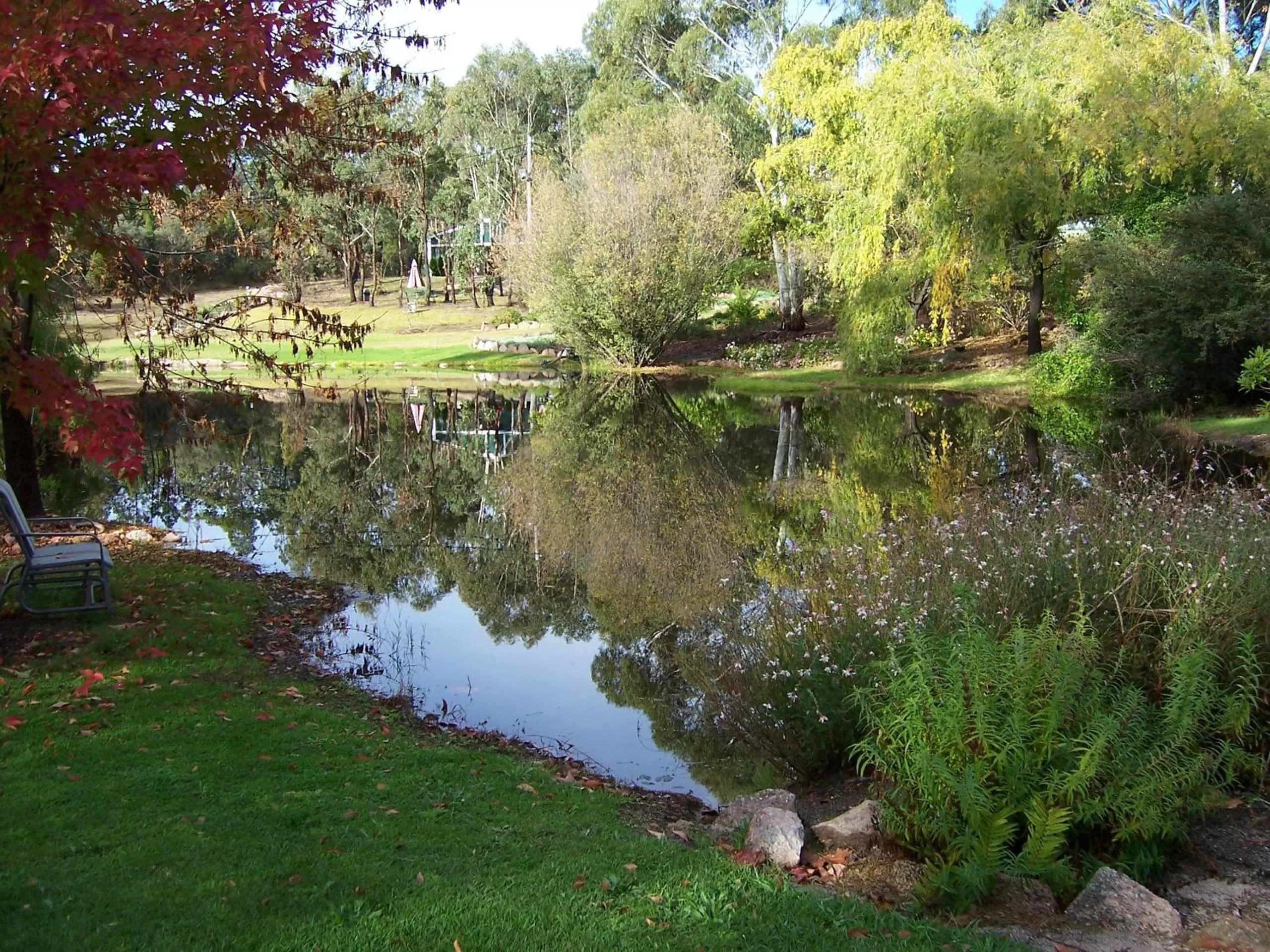 View (from property/room) in Granite Gardens Cottages & Lake Retreat