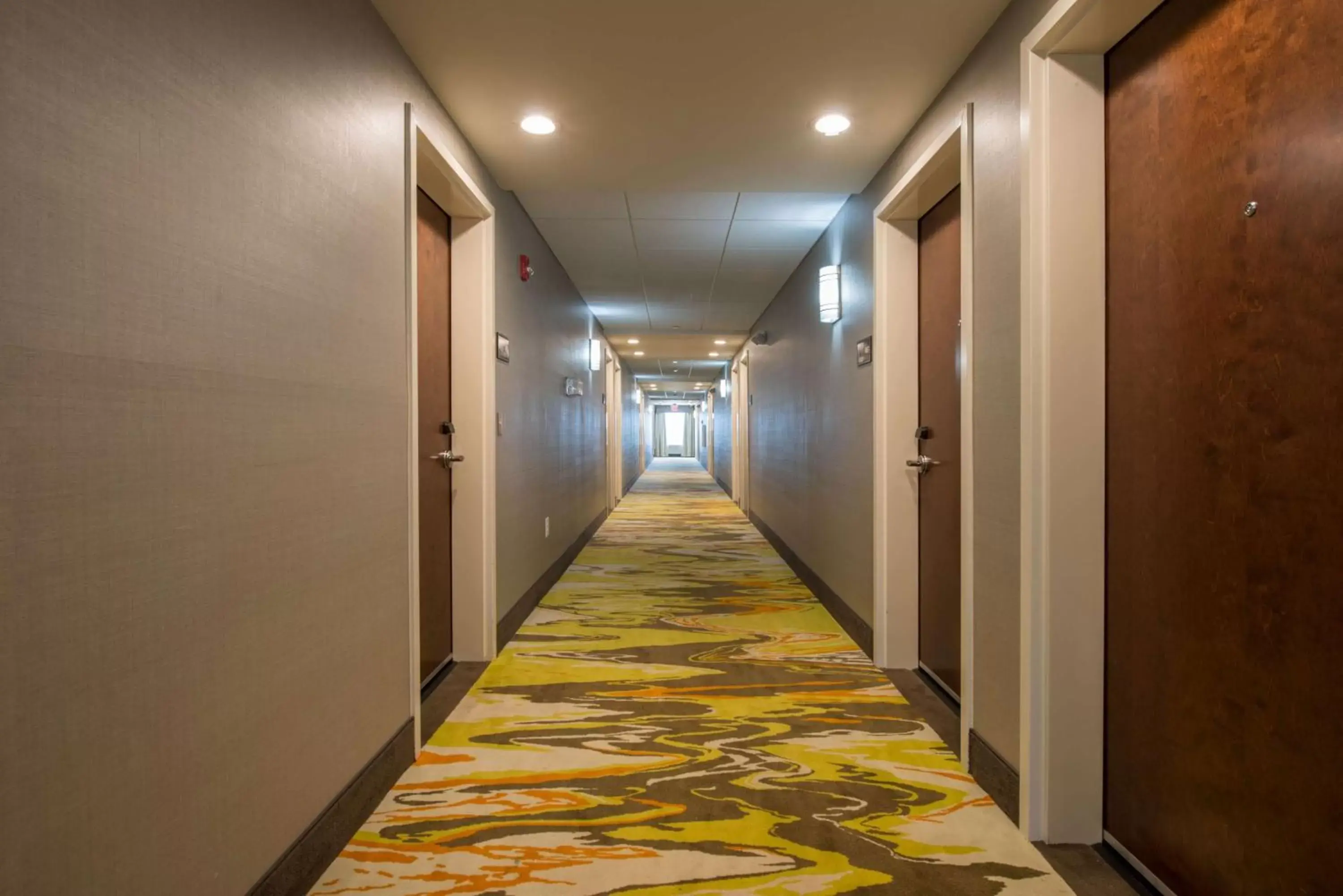 View (from property/room) in Hampton Inn Waynesboro View (from property/room) in Hampton Inn Waynesboro