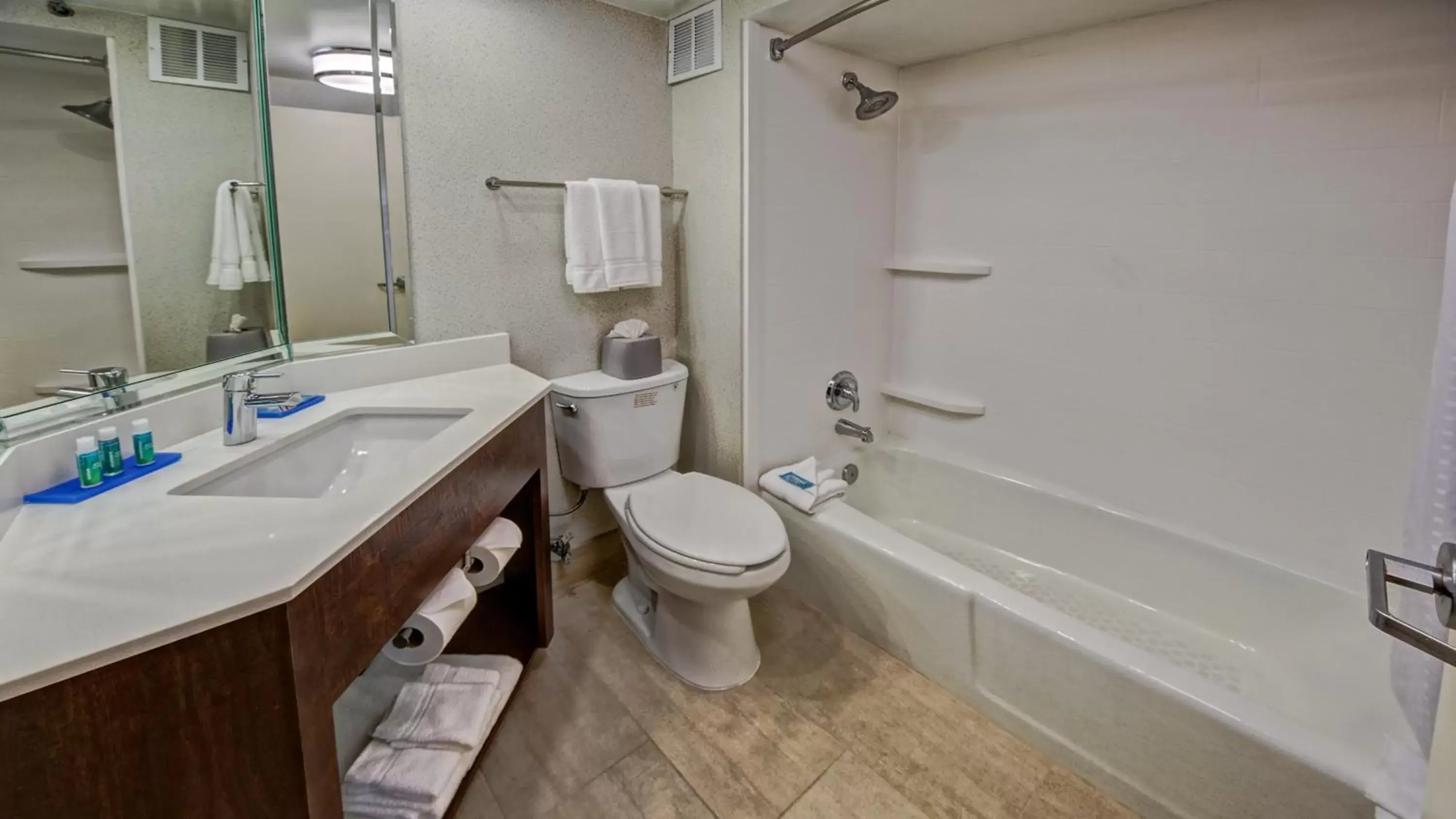 Bathroom in Holiday Inn Express Memphis Medical Center - Midtown, an IHG Hotel