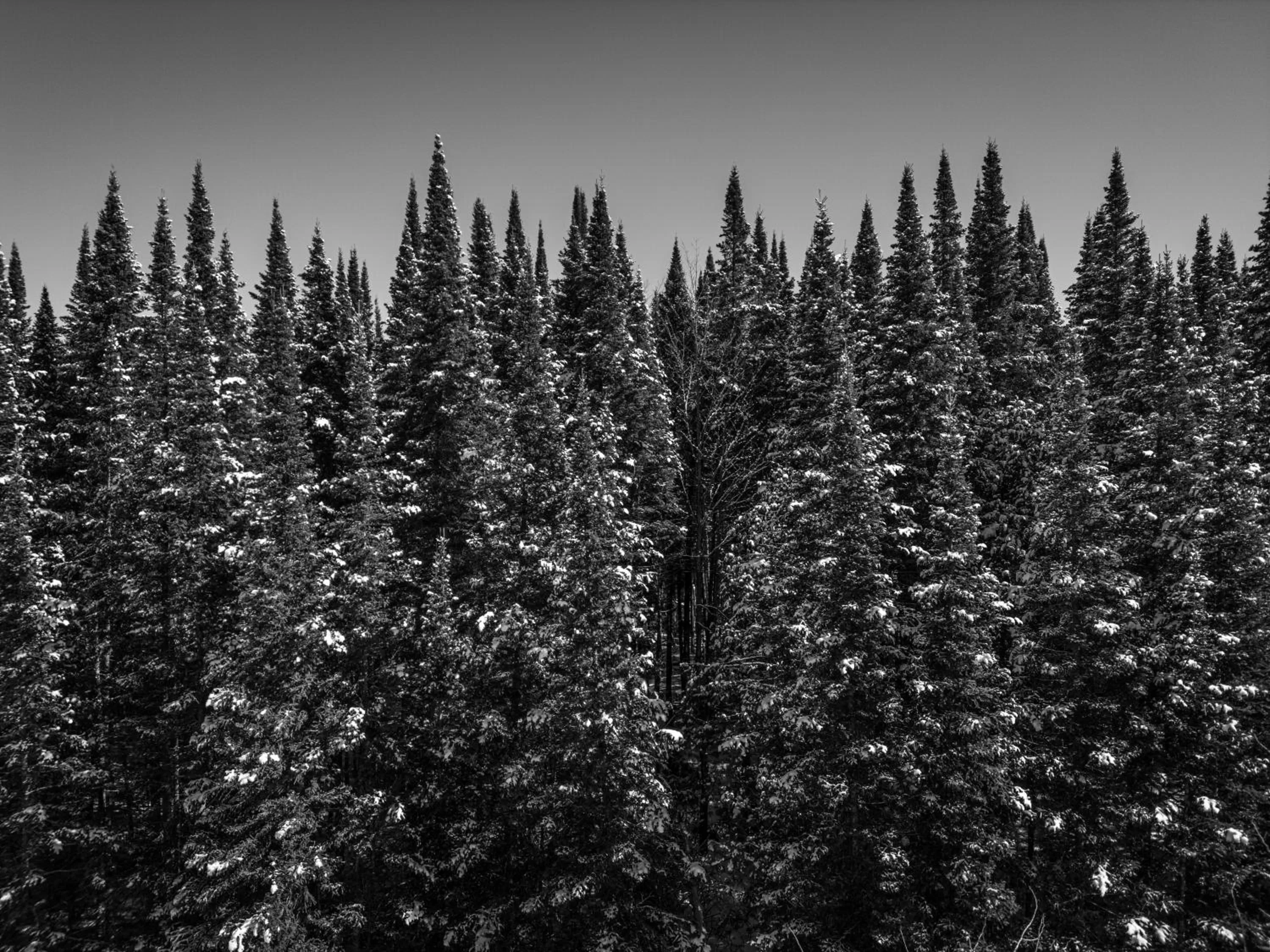 Skiing in Otsego Resort