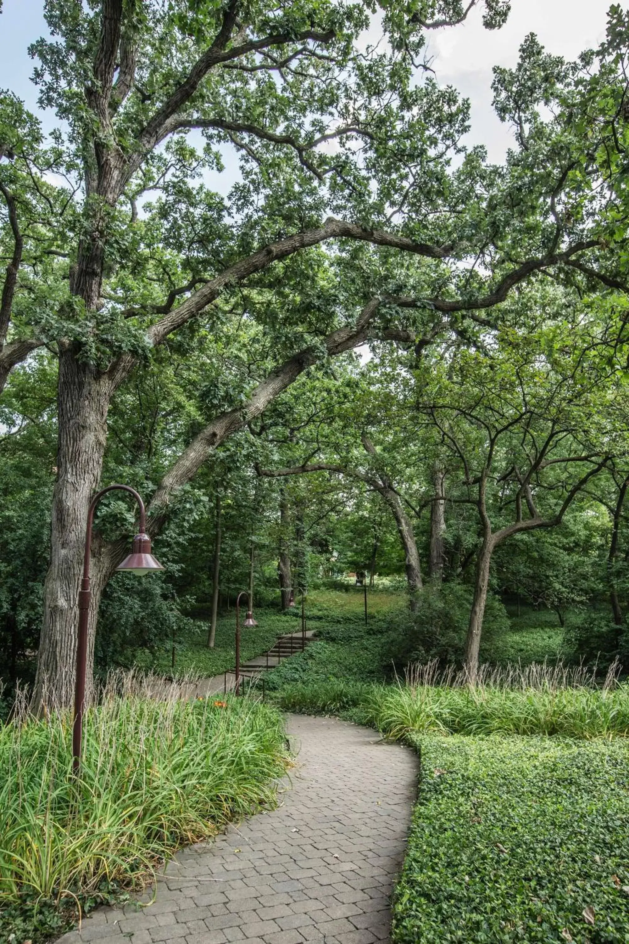 On site, Garden in Hyatt Lodge Oak Brook Chicago