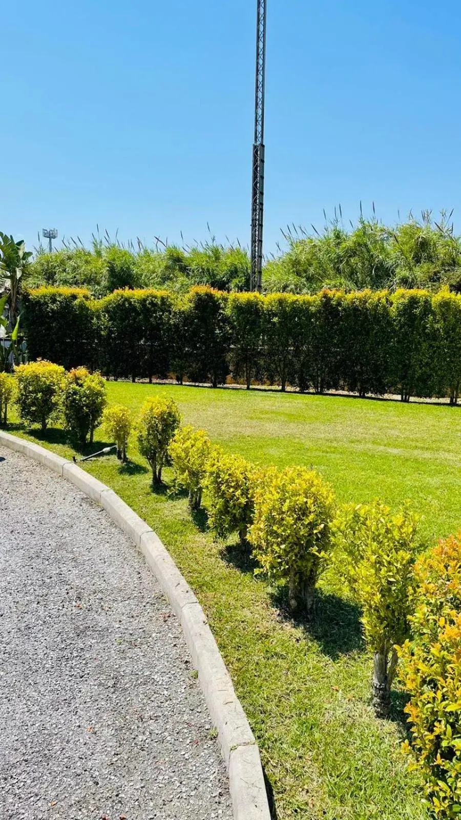 Garden in Hotel Milazzo