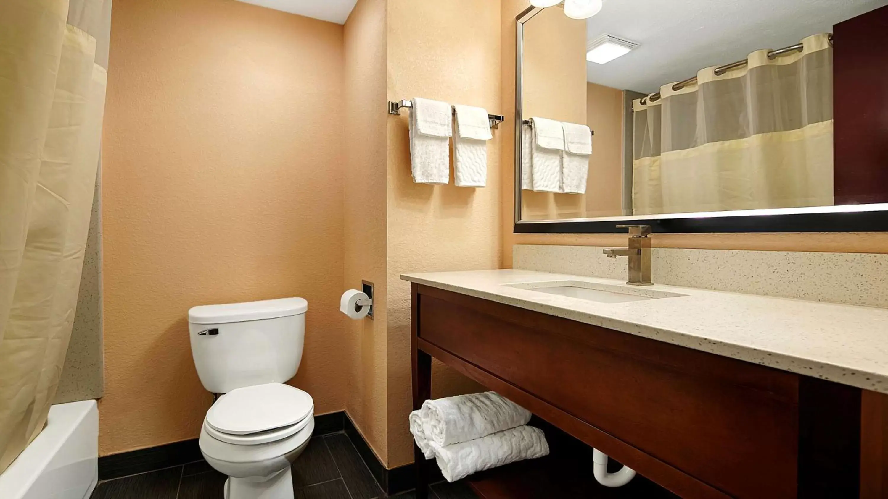 Photo of the whole room, Bathroom in Best Western Canton Inn