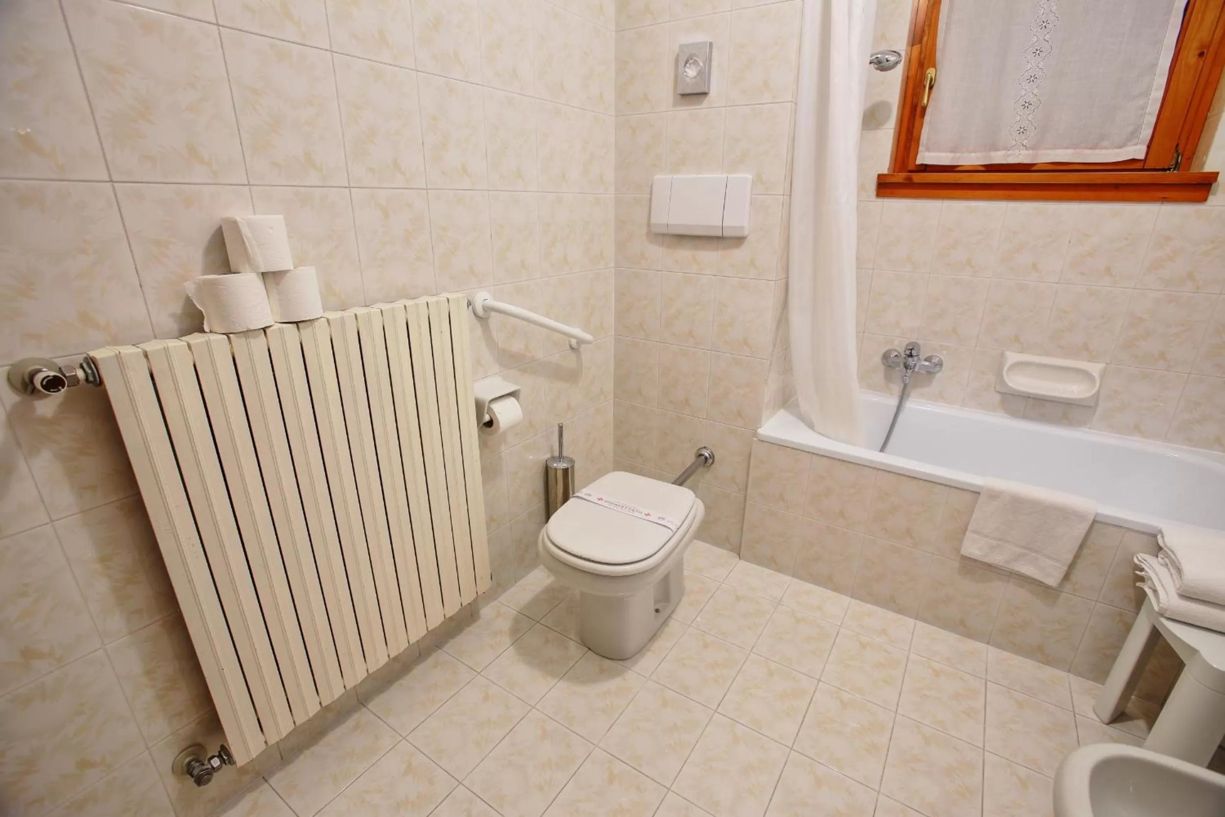 Standard Double or Twin Room in Hotel Des Alpes