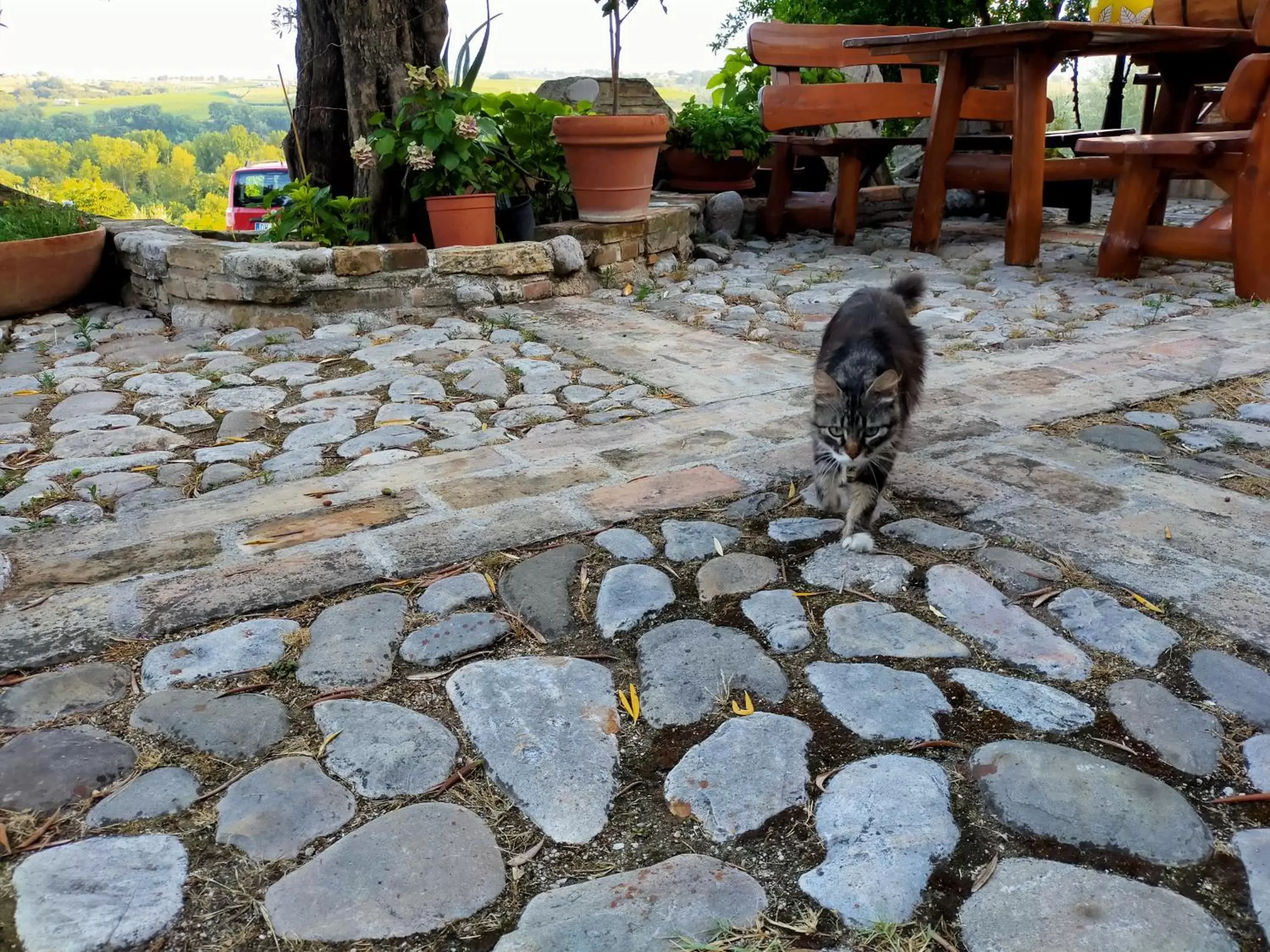 Patio in Casale del Sole