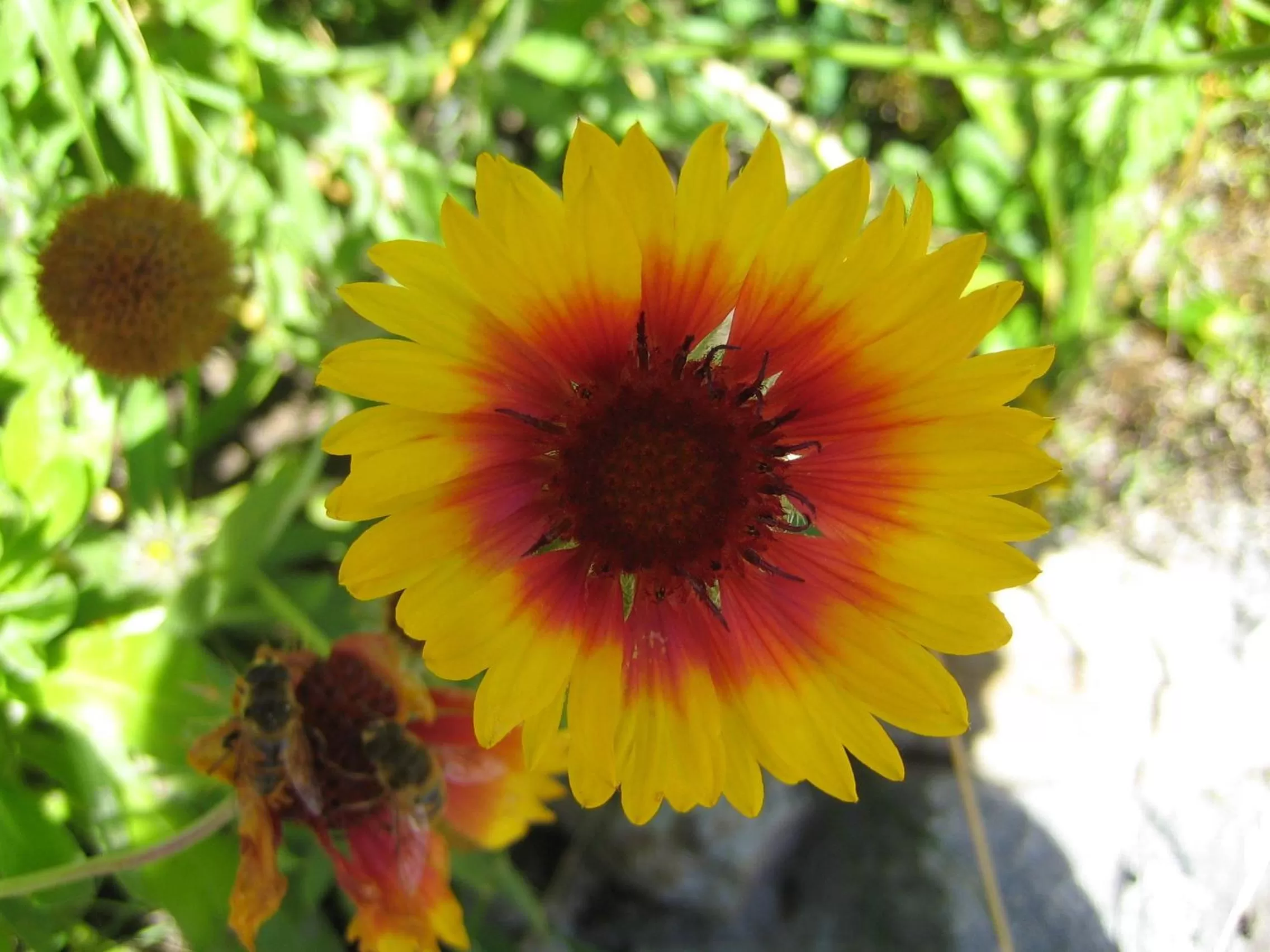 Decorative detail in Hotel Bambi Am Park