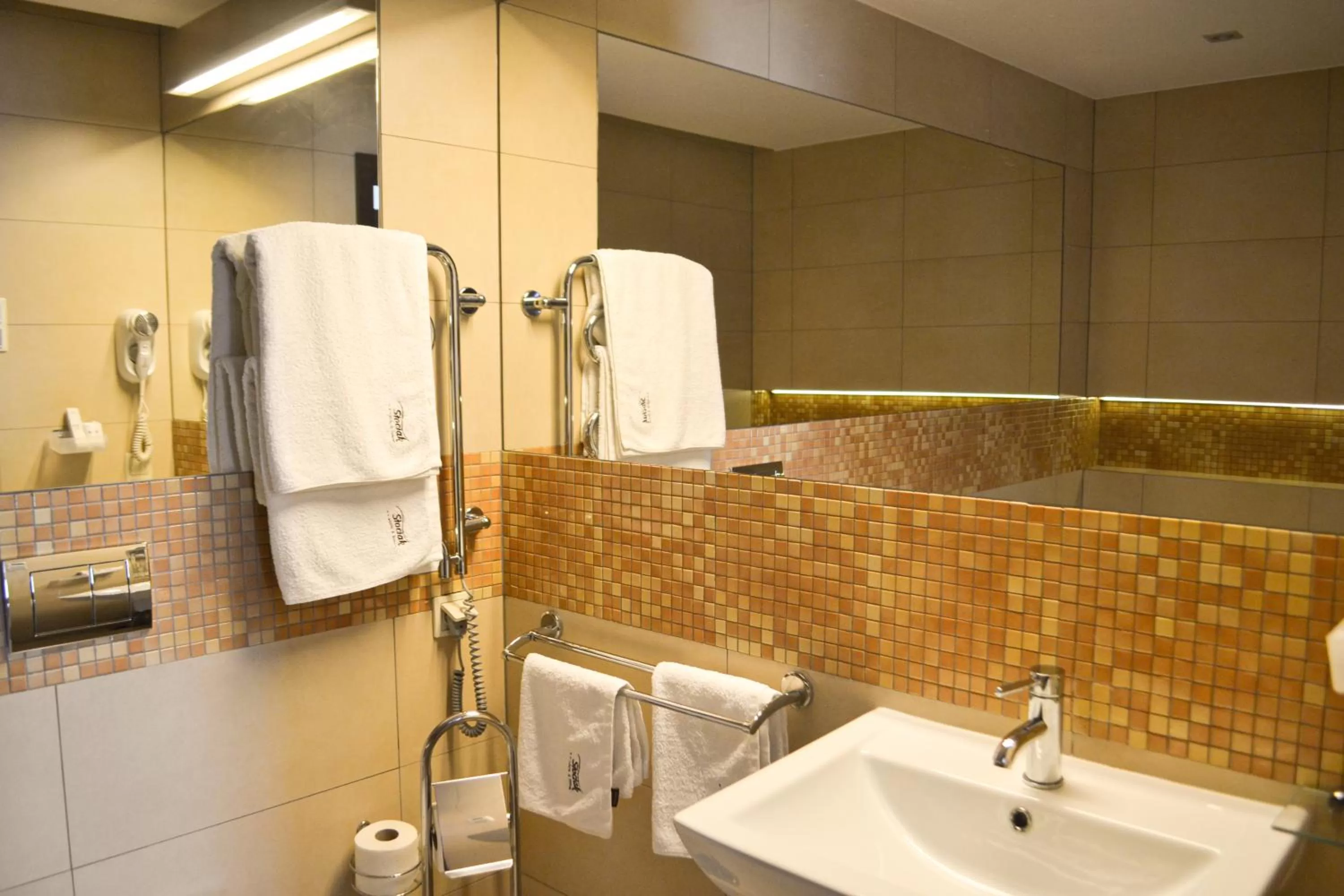 Bathroom in Hotel & Browar Słociak