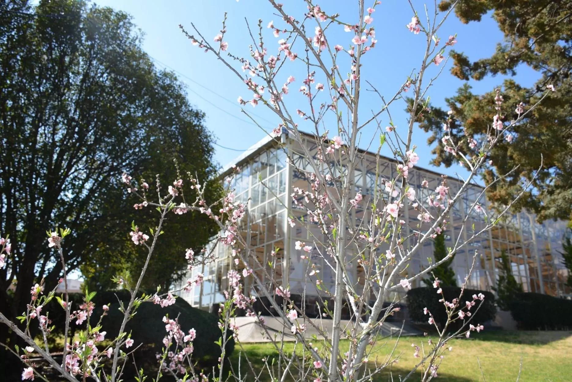 Property building in Hotel Parador Zacatecas