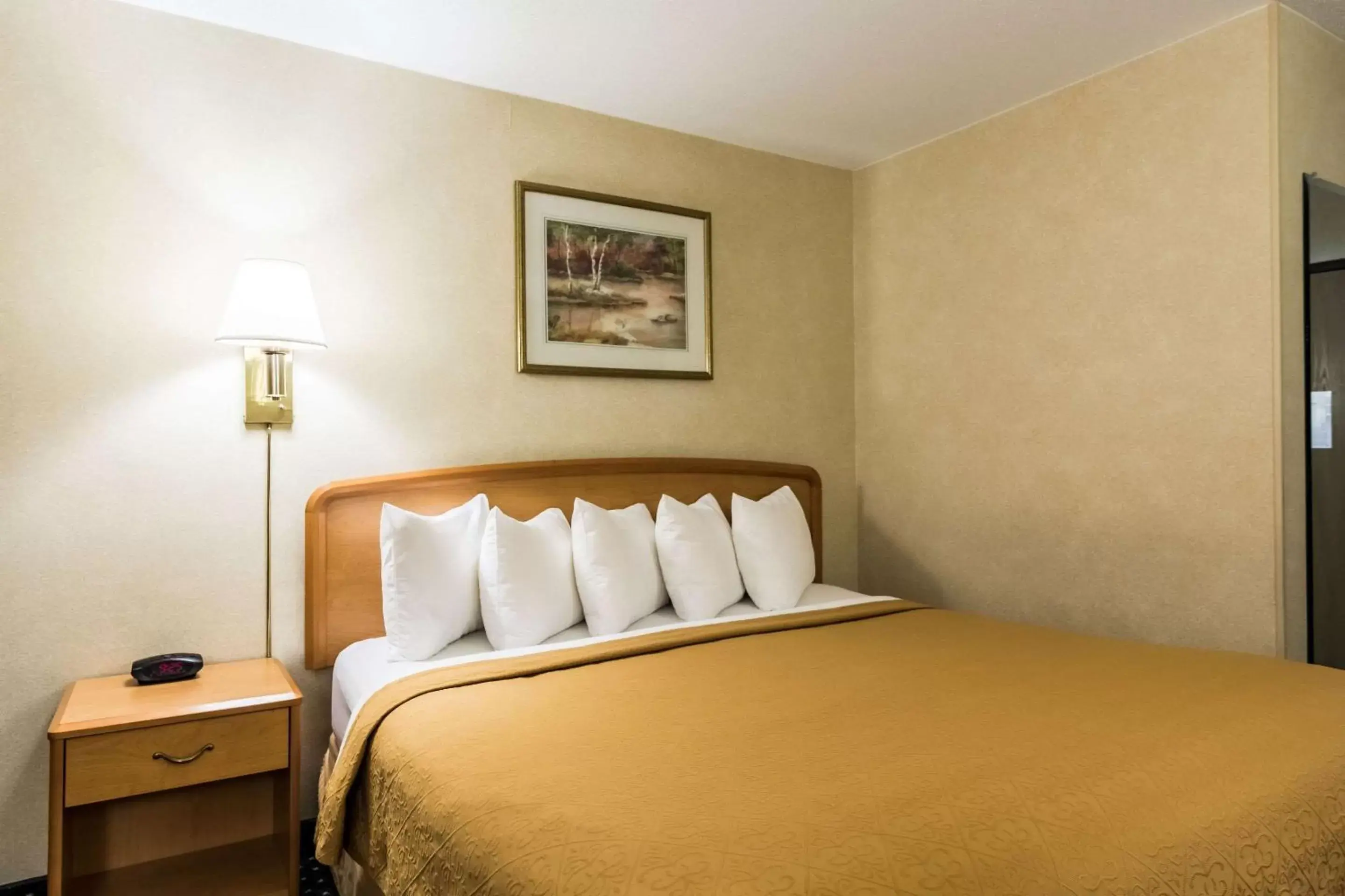 Photo of the whole room, Bed in Quality Inn Columbia Mall