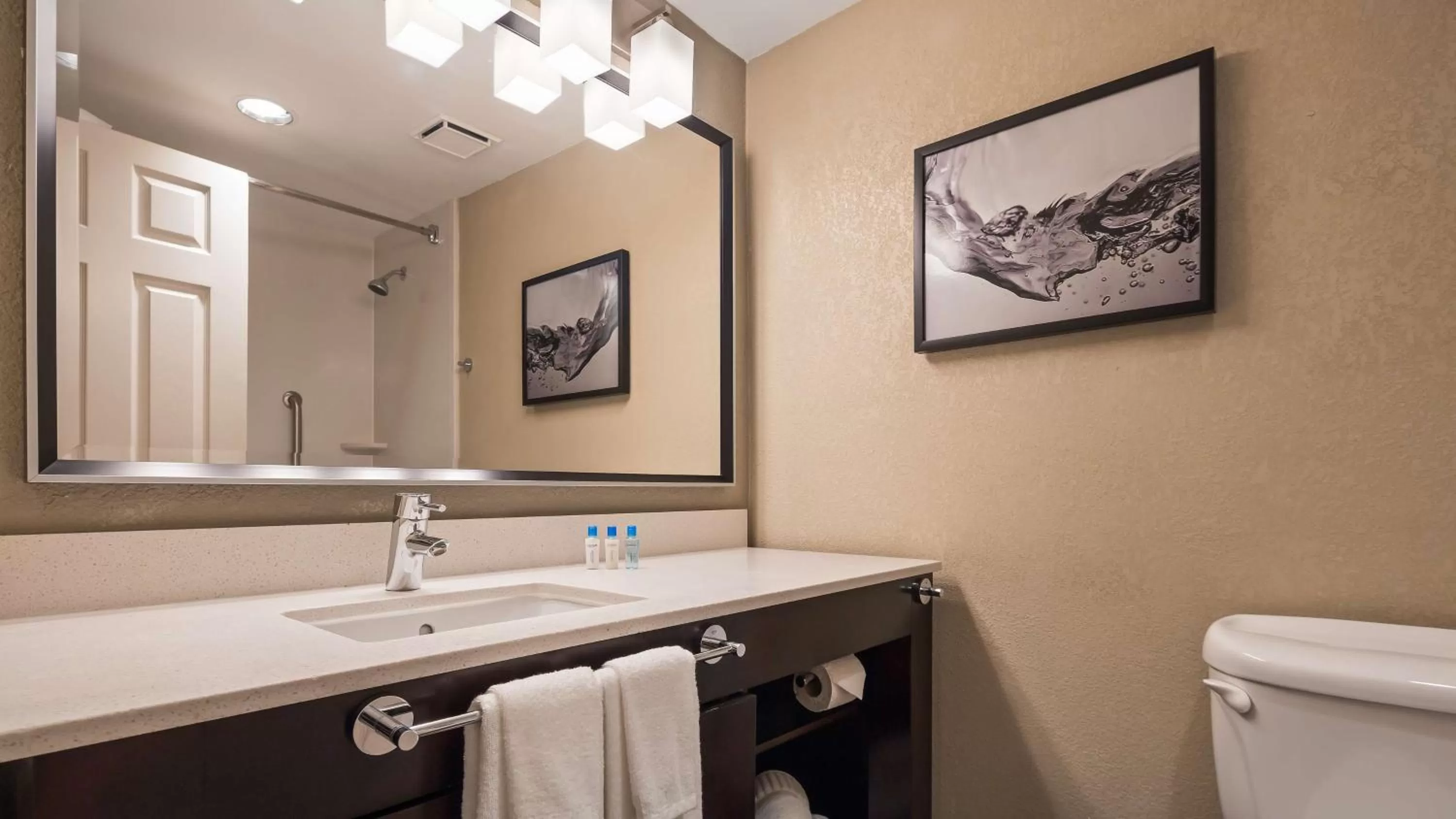 Bathroom in Best Western Plus Hollywood/Aventura