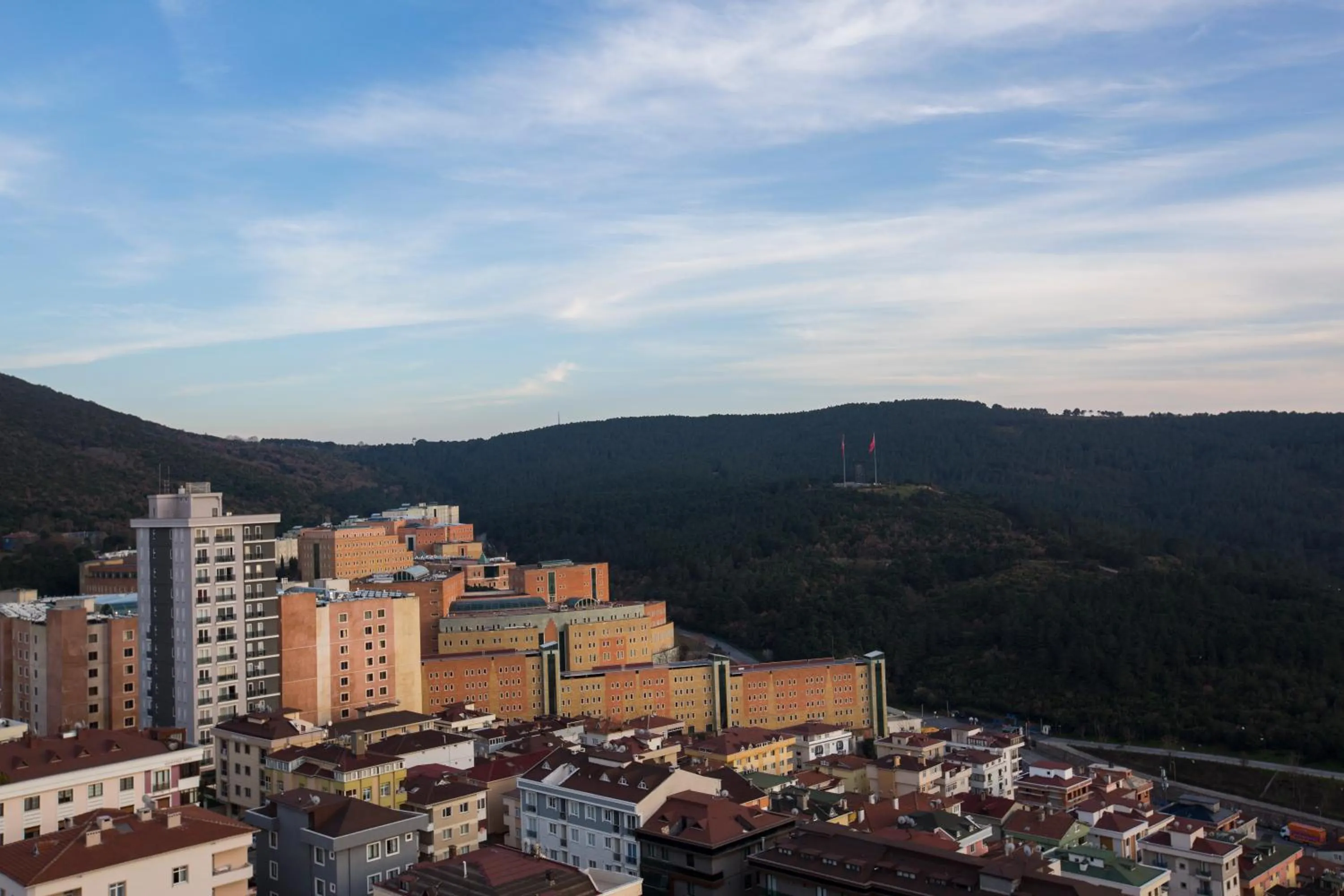 Mountain view in Cityloft 161