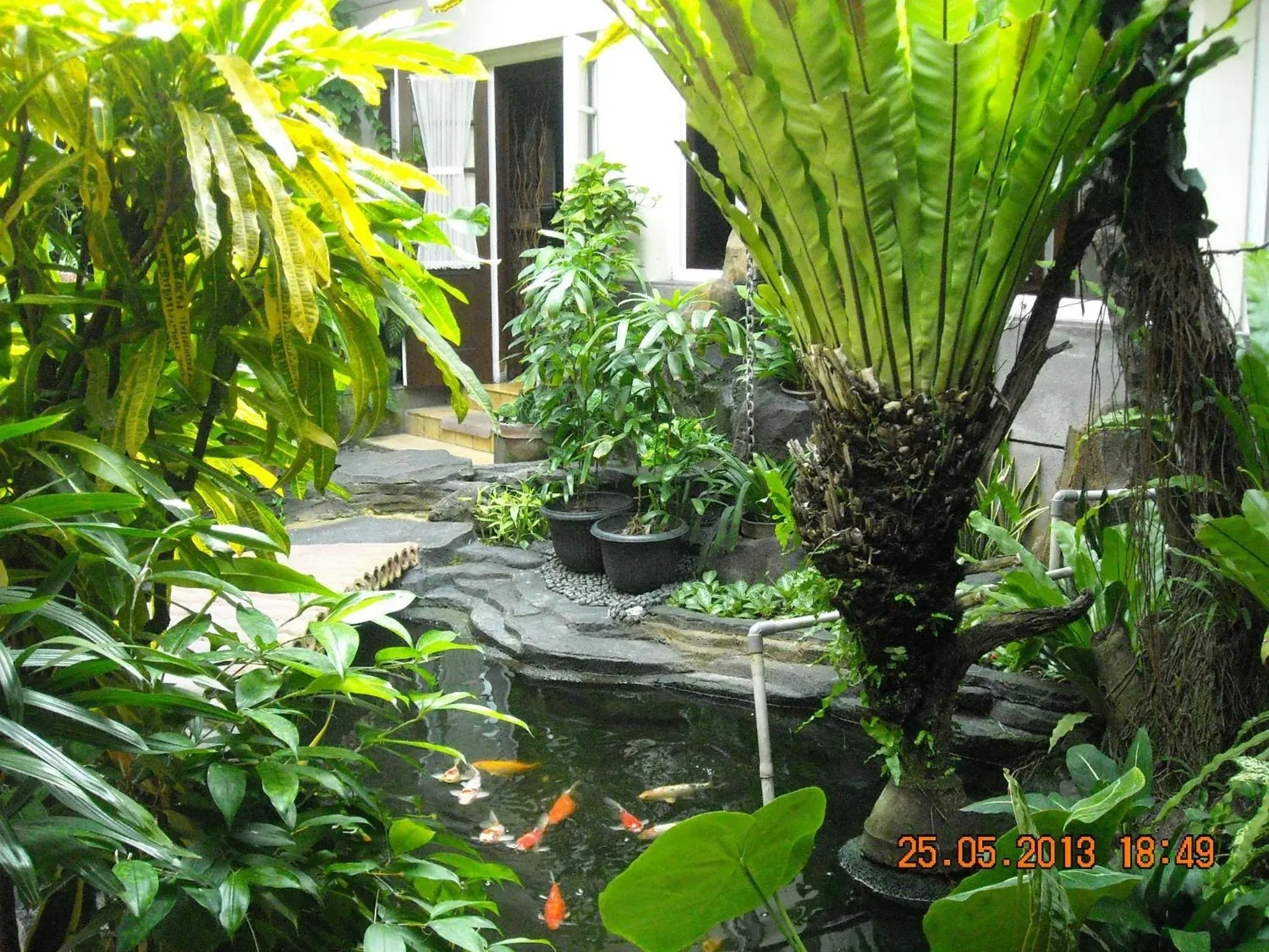 Garden in Duta Guest House