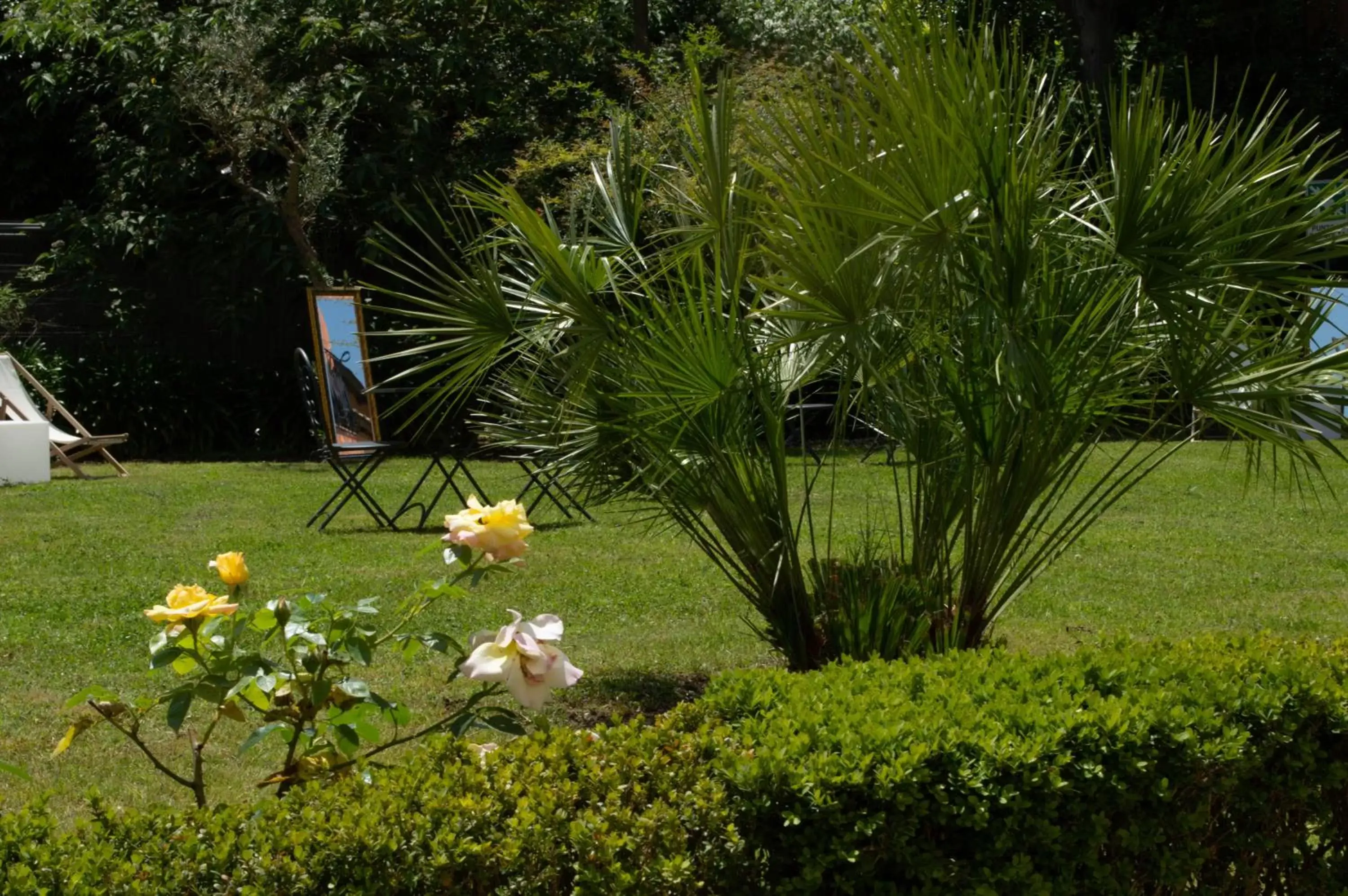 Garden, Pets in Villa Riari Garden